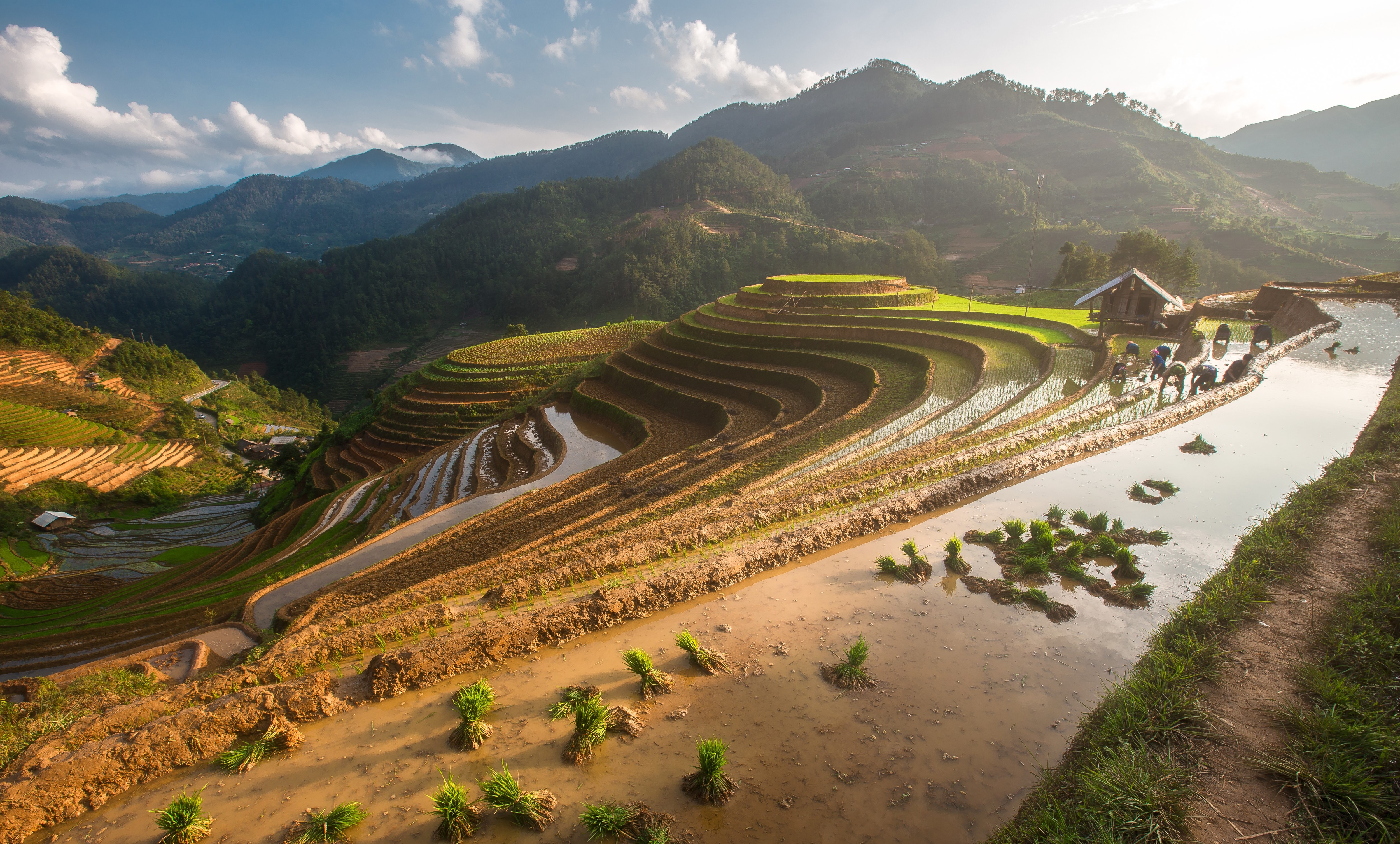 Terraced Rice Fields in Mu Cang Chai, Vietnam HD Wallpaper