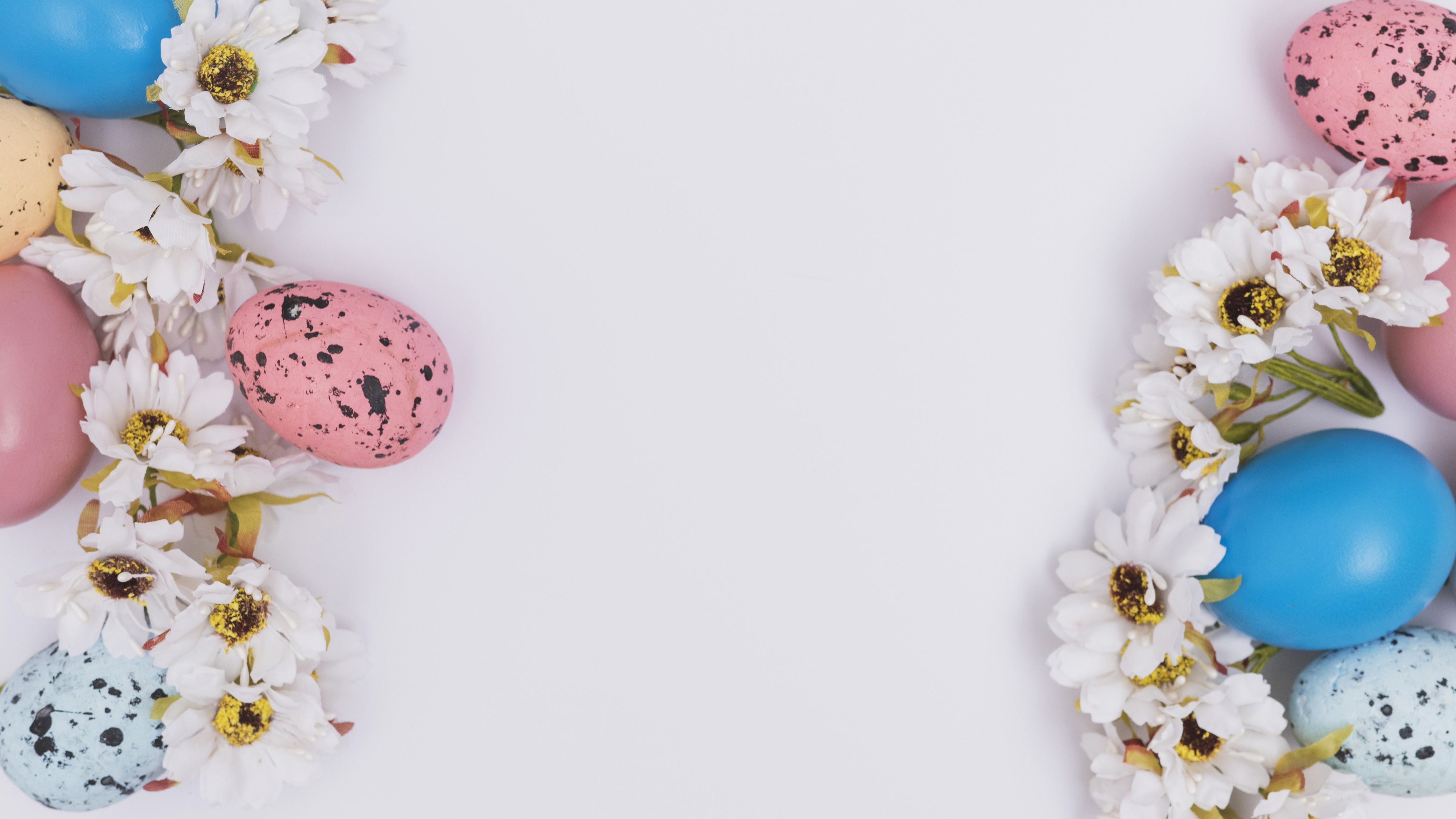 Easter eggs and white chrysanthemums on a white background HD Wallpaper