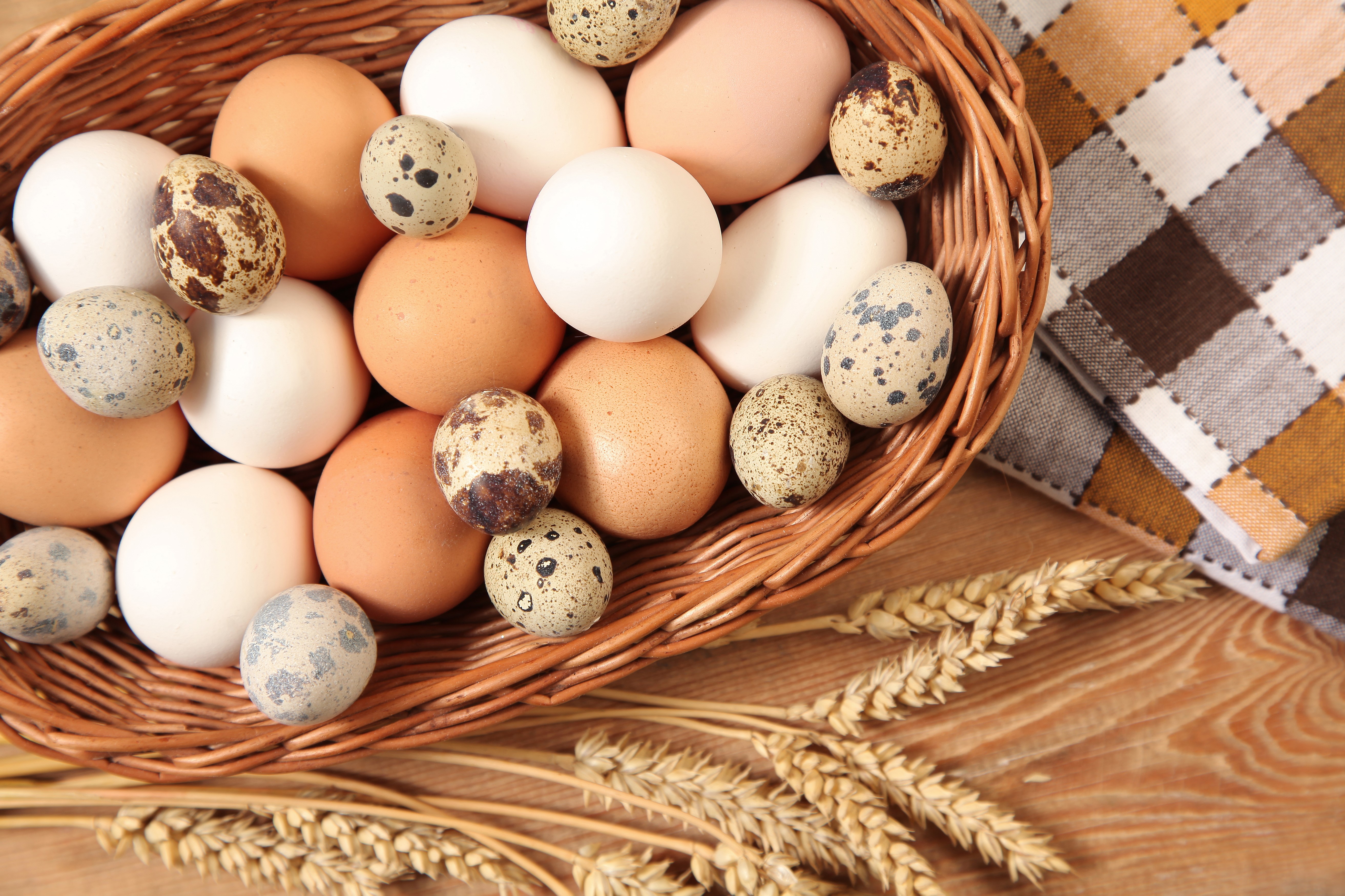 Basket of Eggs and Wheat HD Wallpaper