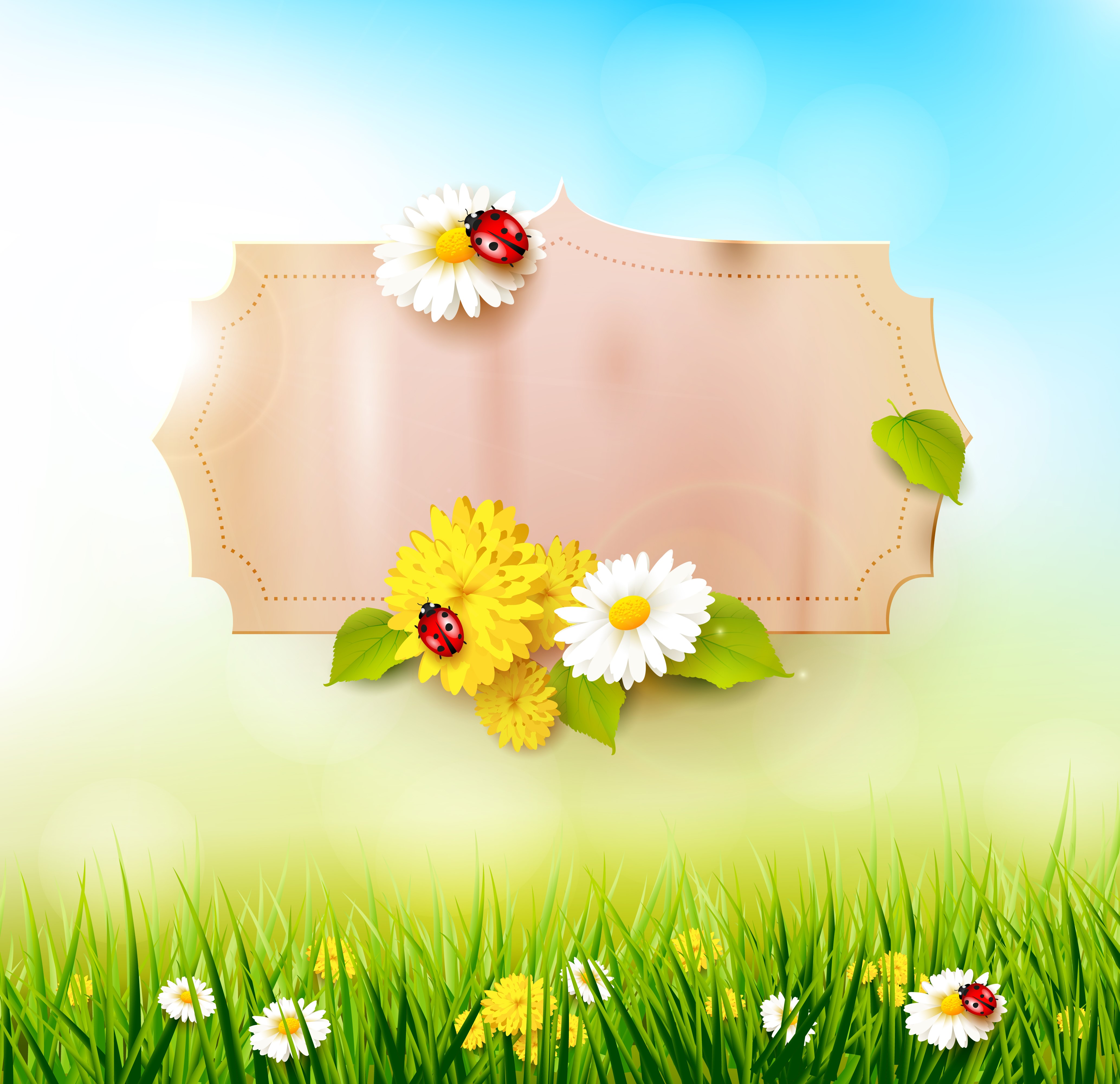 Spring greeting card template with flowers and ladybugs HD Wallpaper