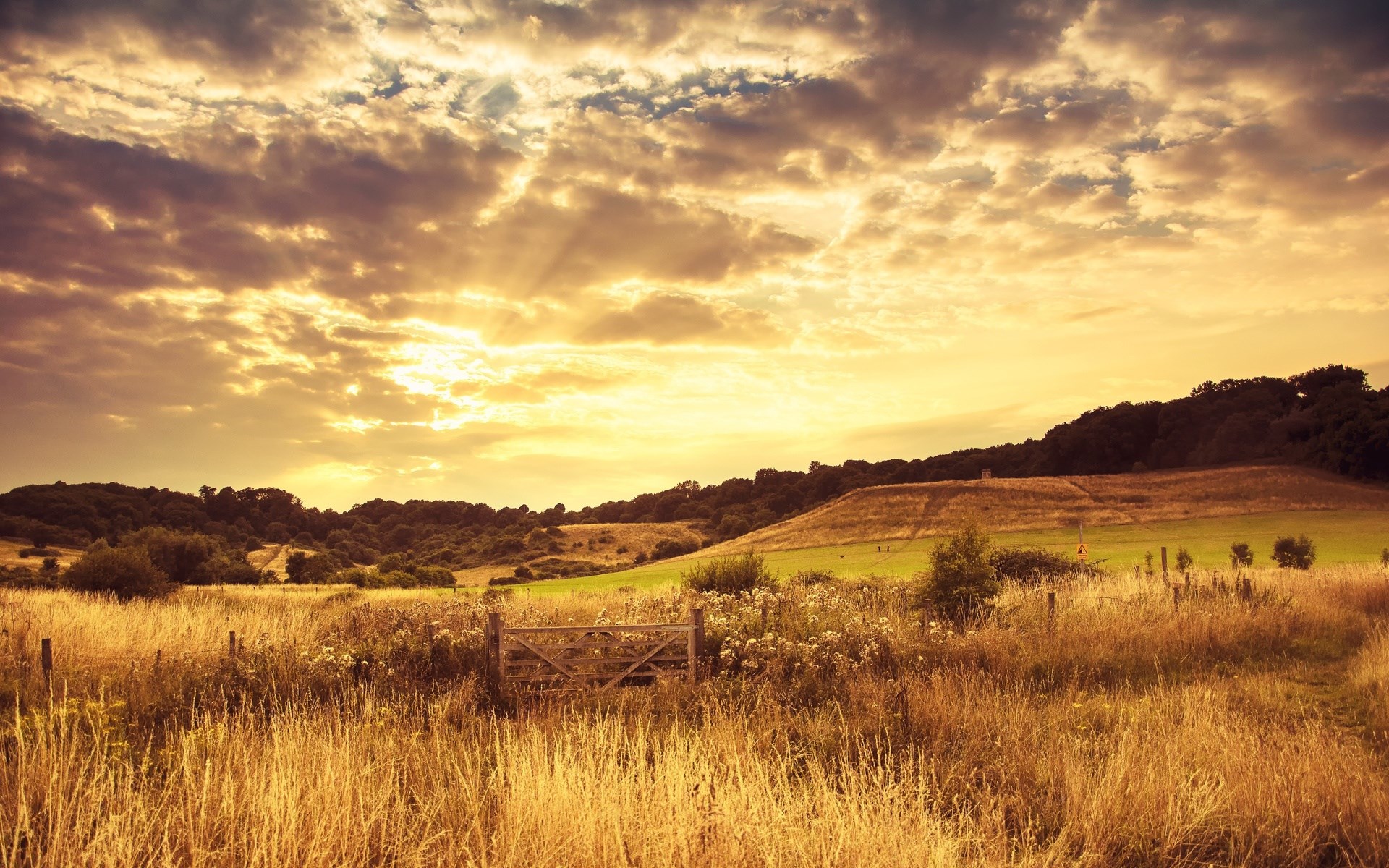 Golden hour over a rural landscape with a wooden gate HD Wallpaper