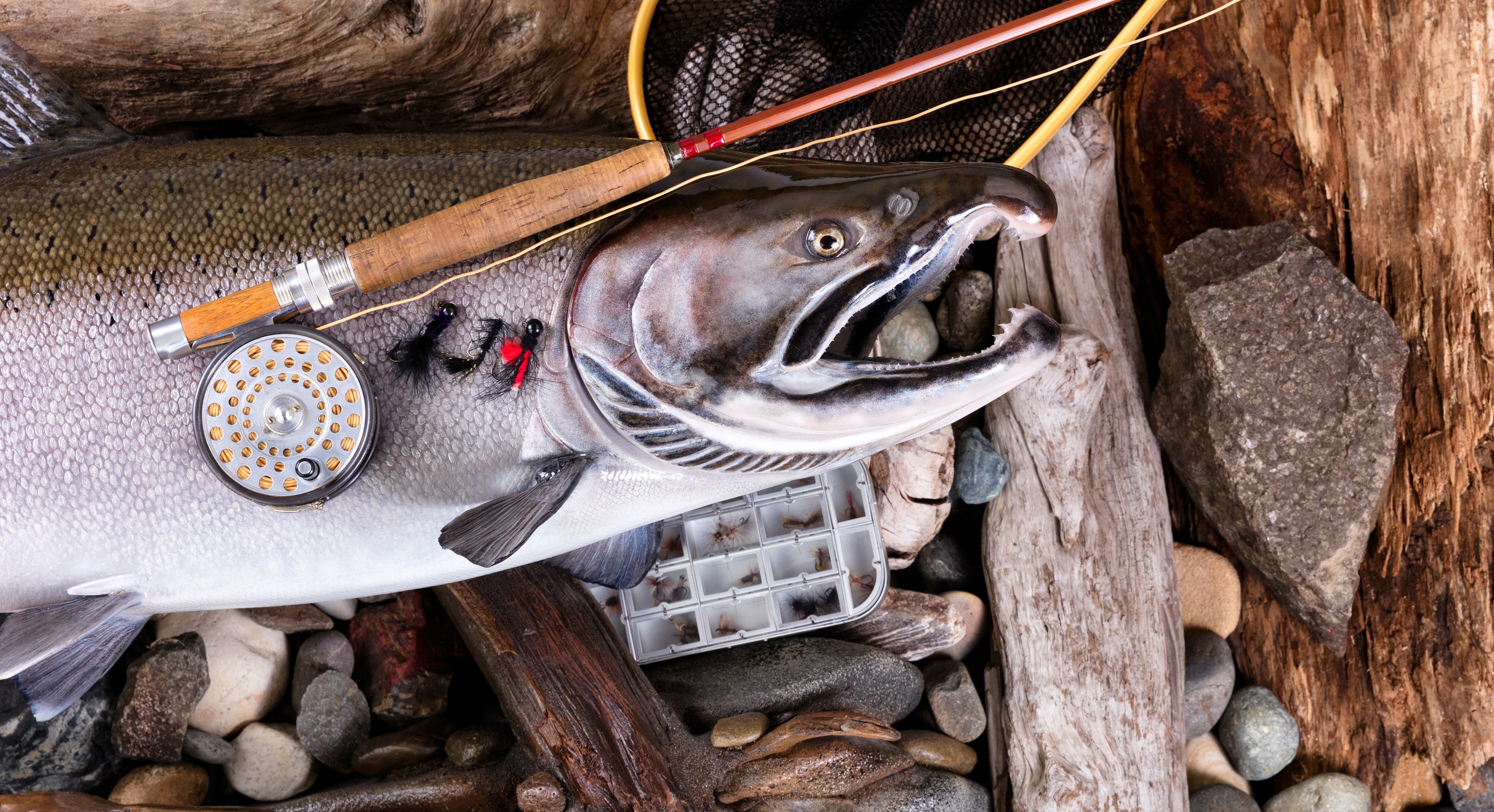 Salmon with fishing rod and tackle box HD Wallpaper