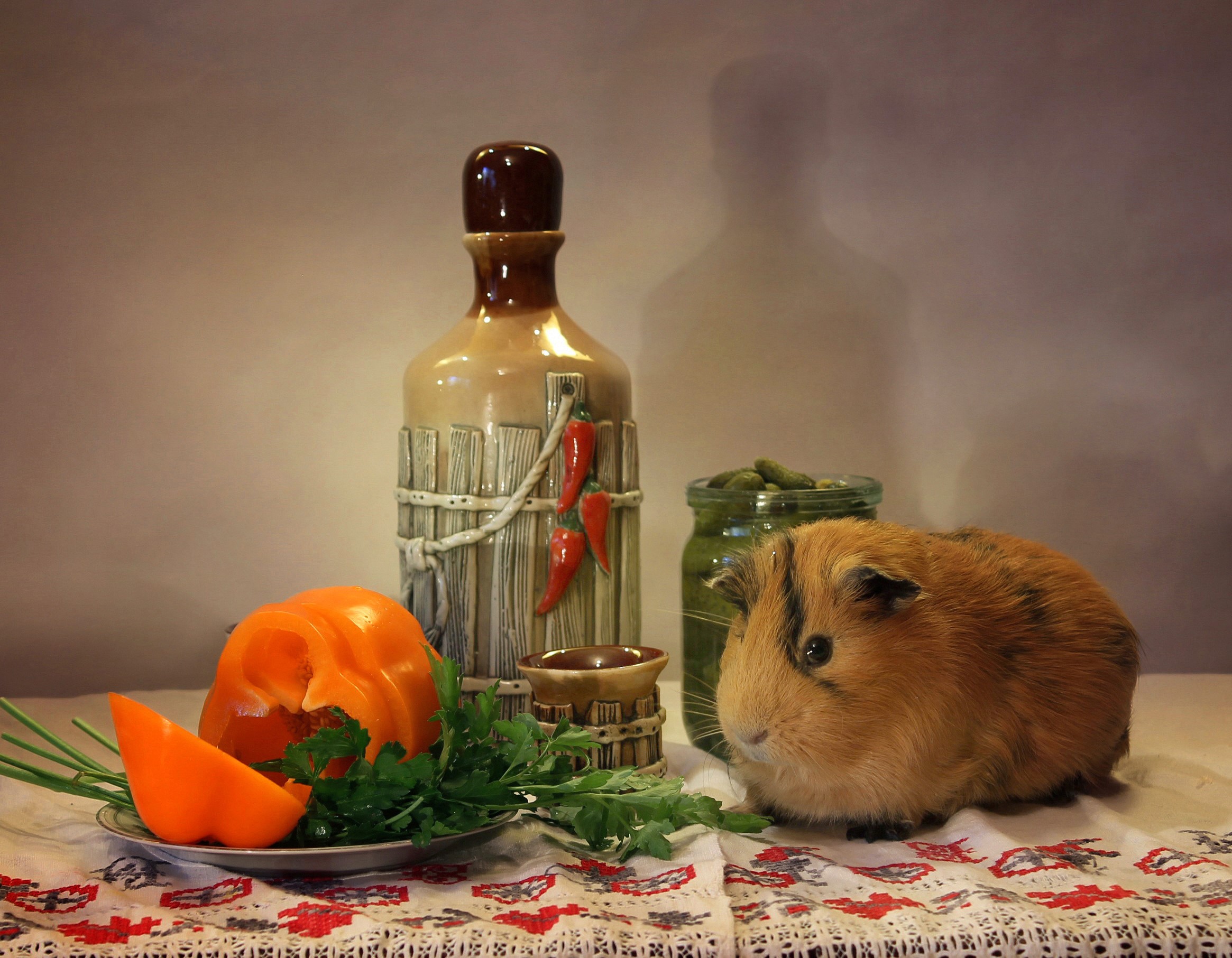 Guinea pig with bell pepper and bottle HD Wallpaper