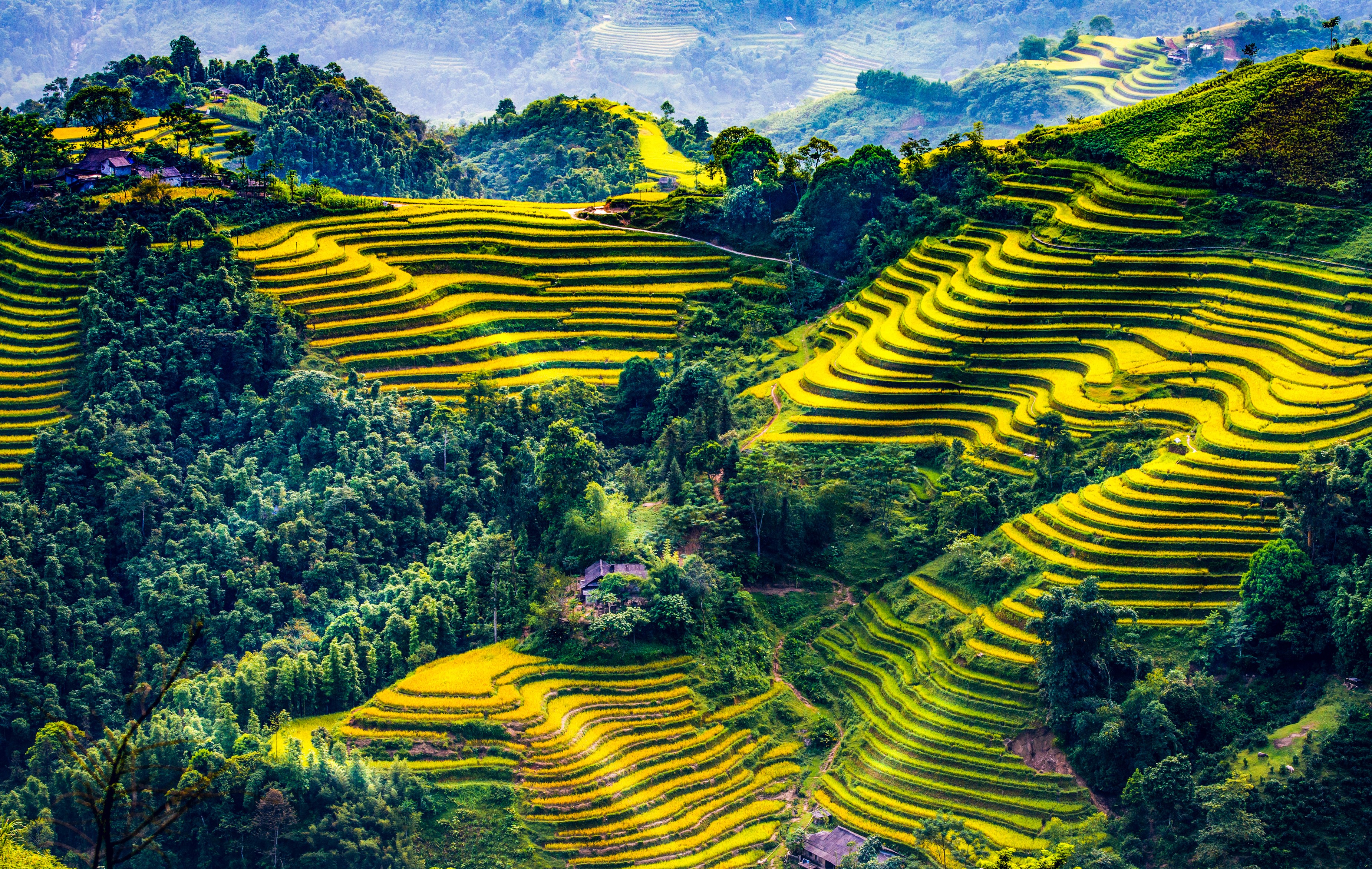 Mu Cang Chai Vietnam Rice Terraces HD Wallpaper