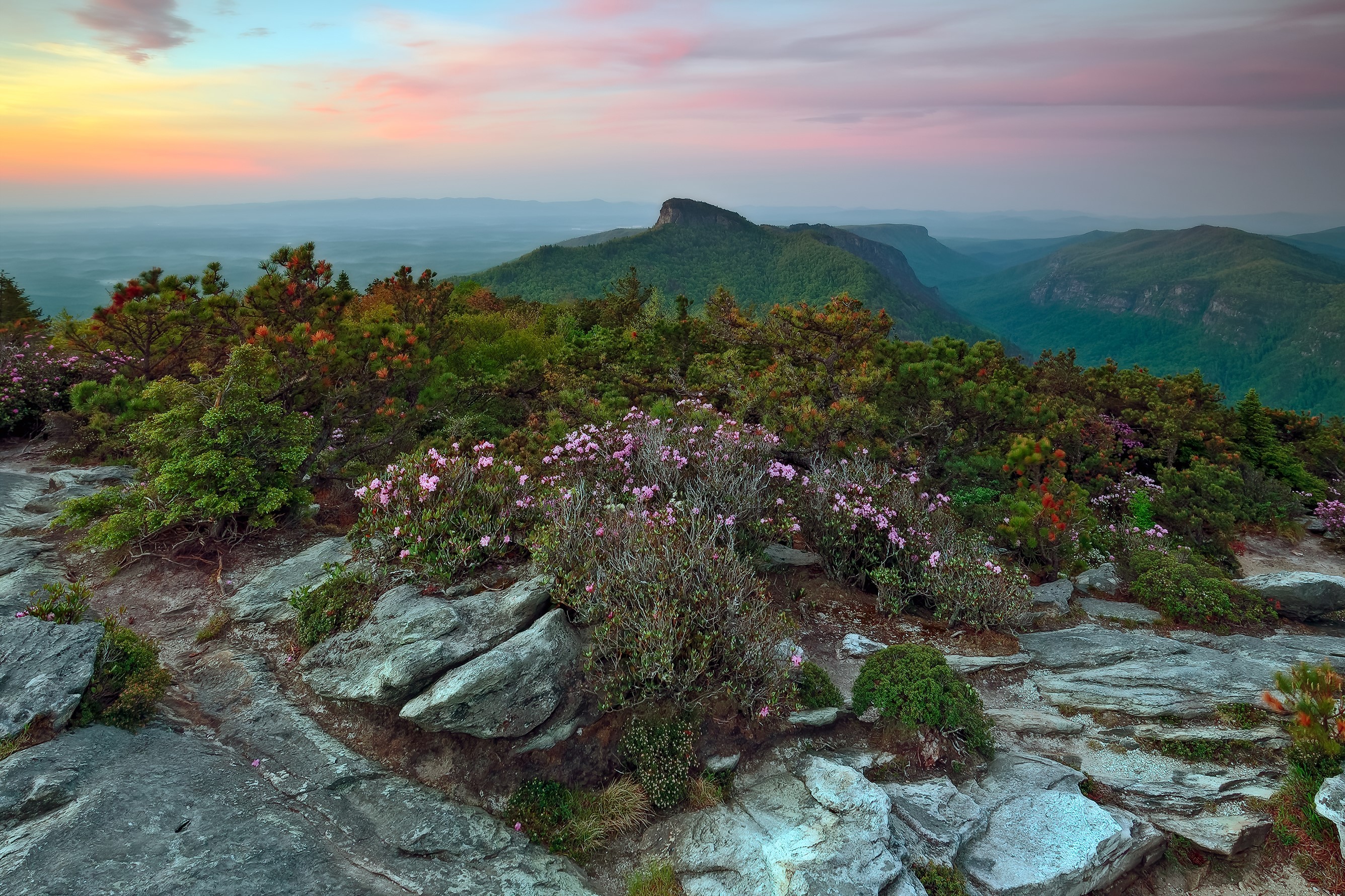 Pilot Mountain, North Carolina at sunrise with wildflowers HD Wallpaper
