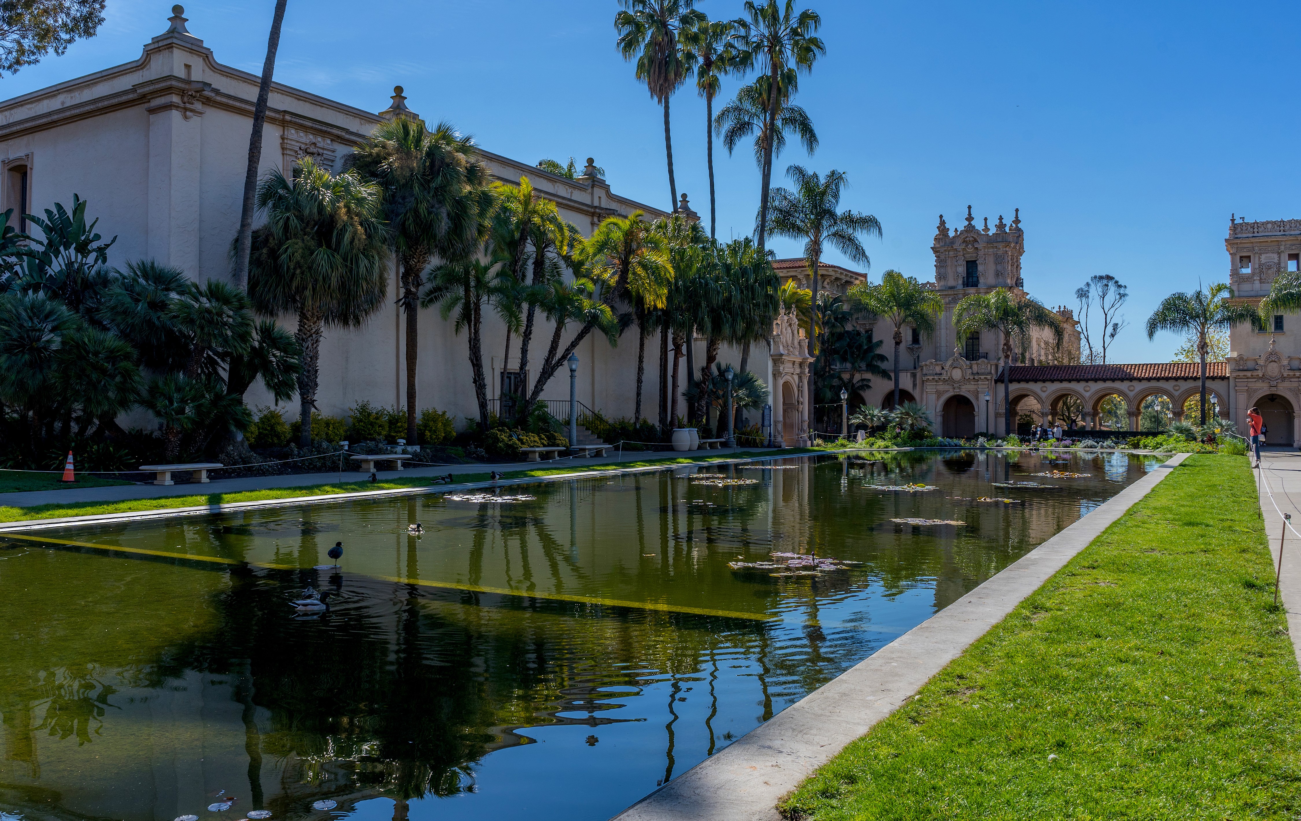 Balboa Park Pond with Palm Trees and Spanish Architecture HD Wallpaper
