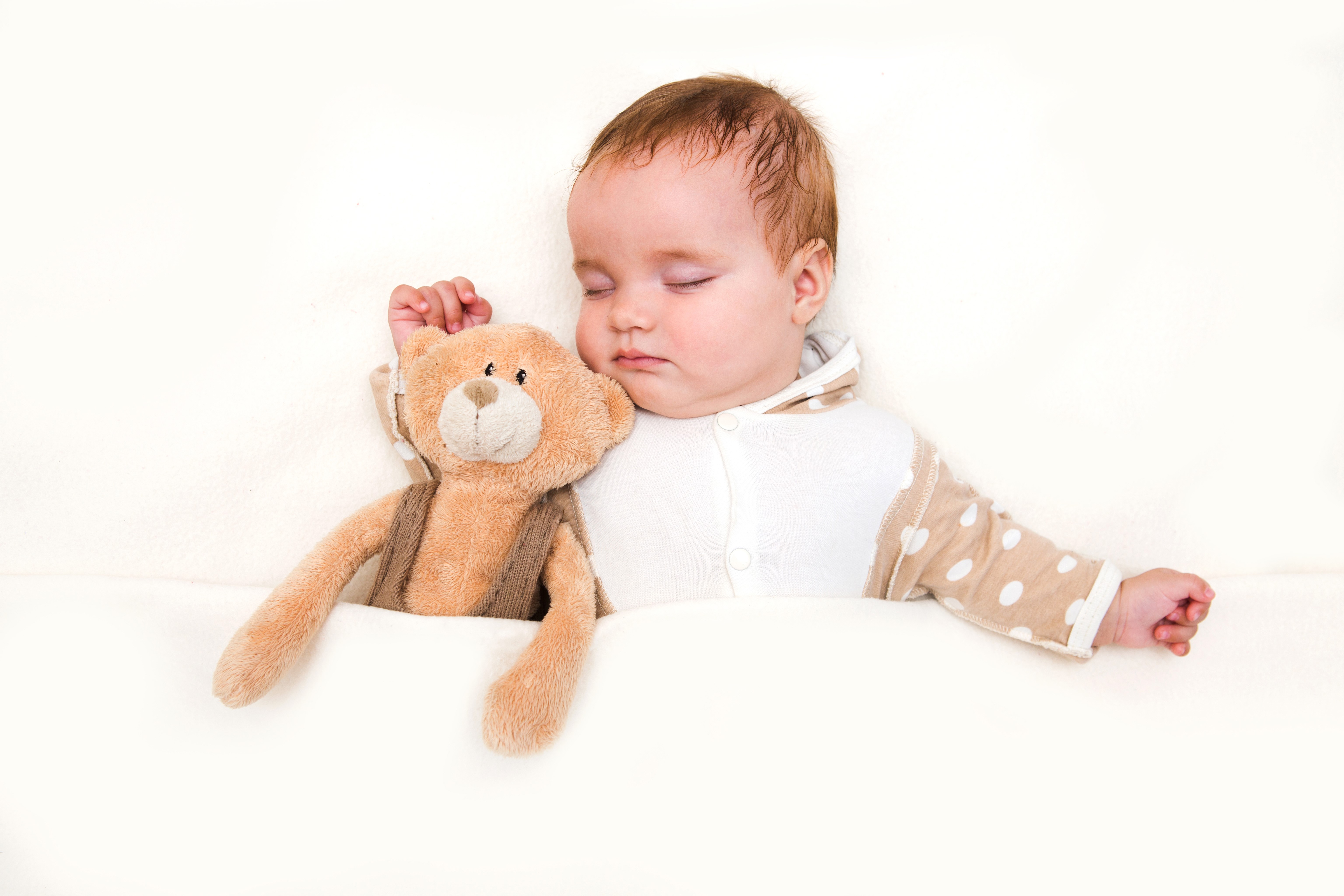 Infant sleeping with teddy bear on white background HD Wallpaper