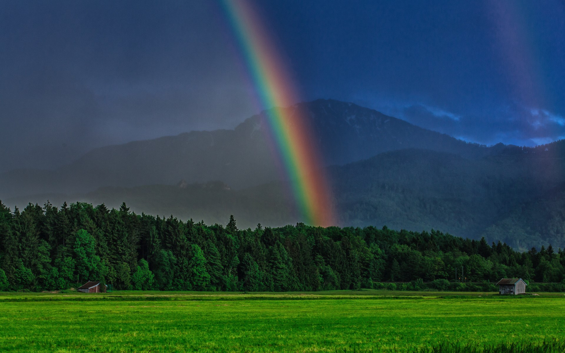 Rainbow over a forest and mountains HD Wallpaper