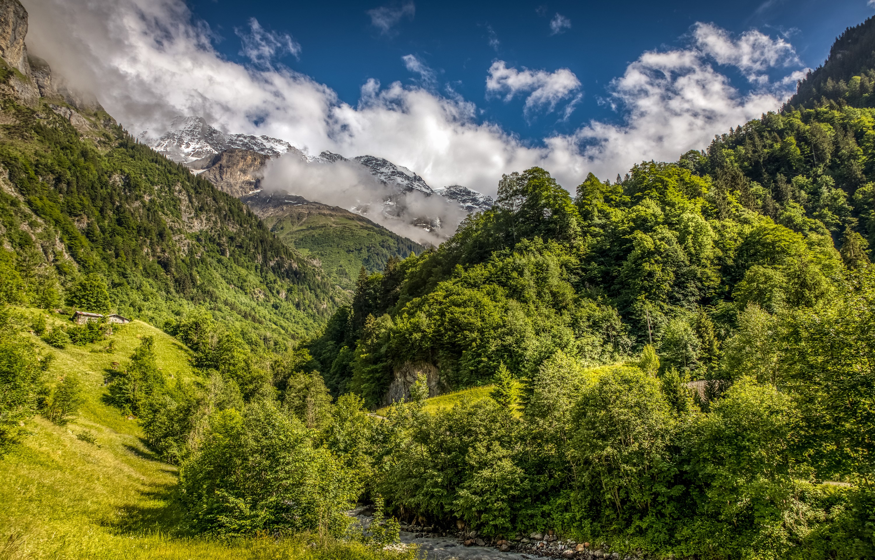 Mountain valley with forest and clouds in Switzerland HD Wallpaper
