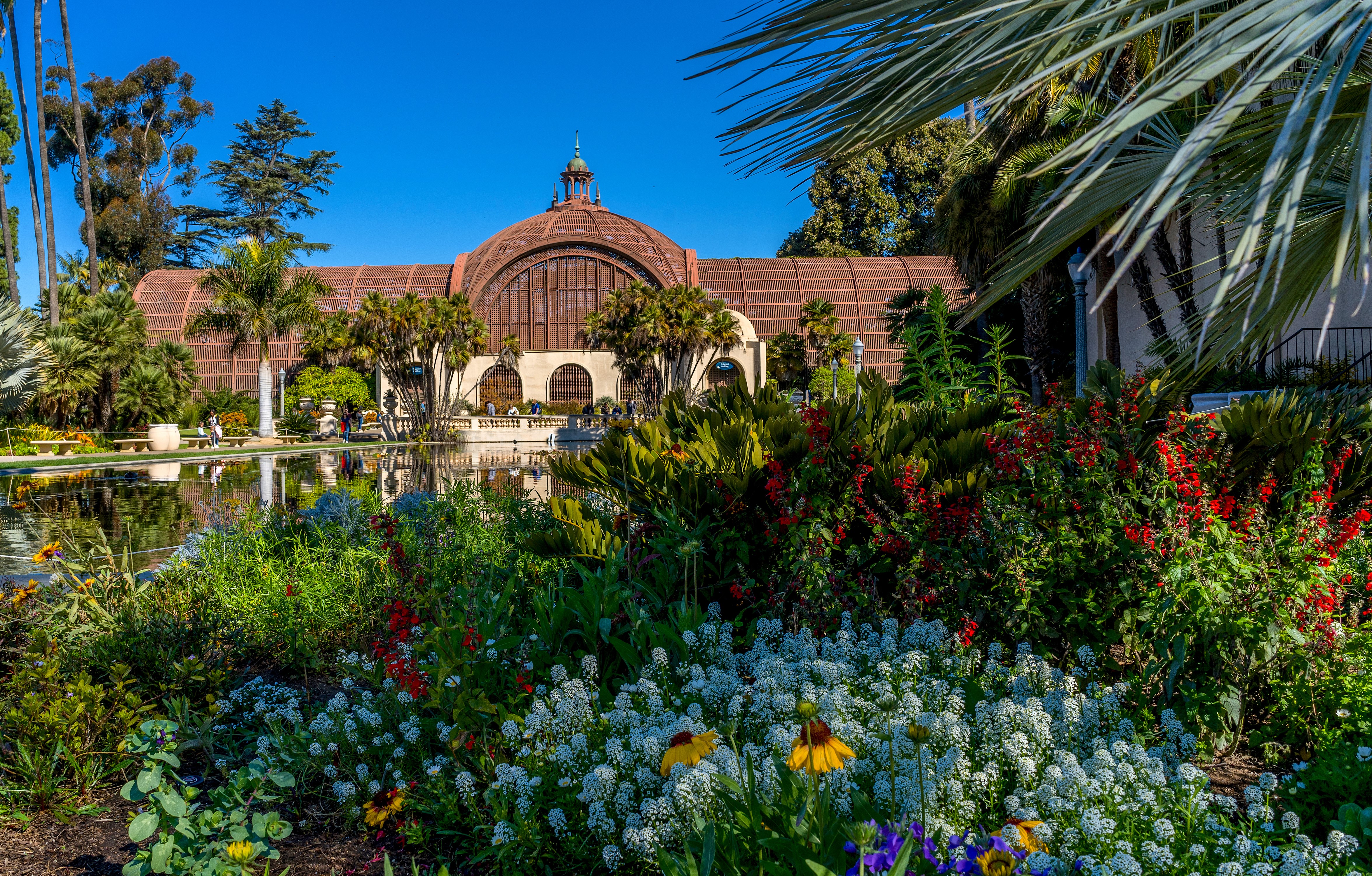 Balboa Park Botanical Building and Reflection Pond in San Diego HD Wallpaper