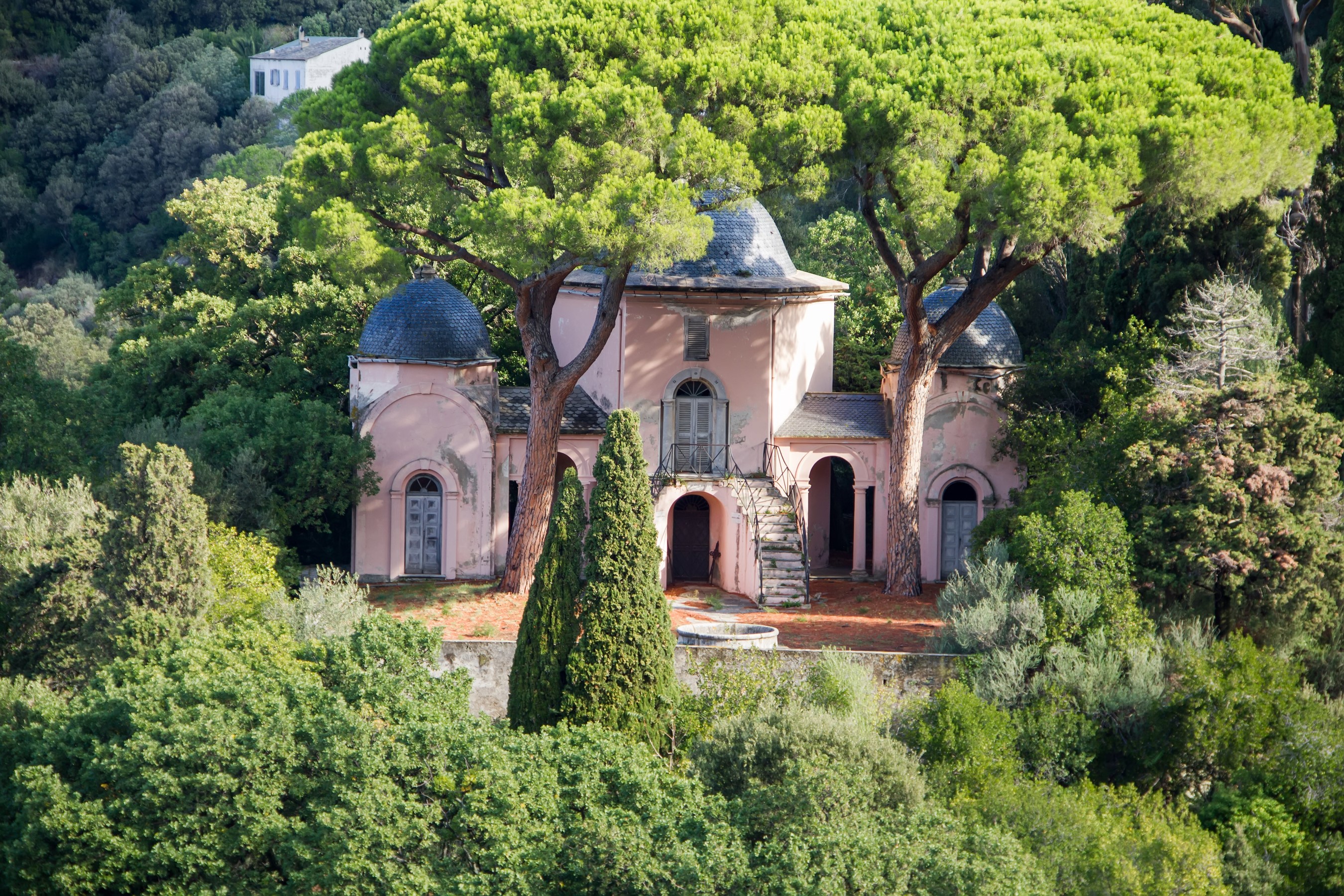 Pink building with domes surrounded by trees HD Wallpaper