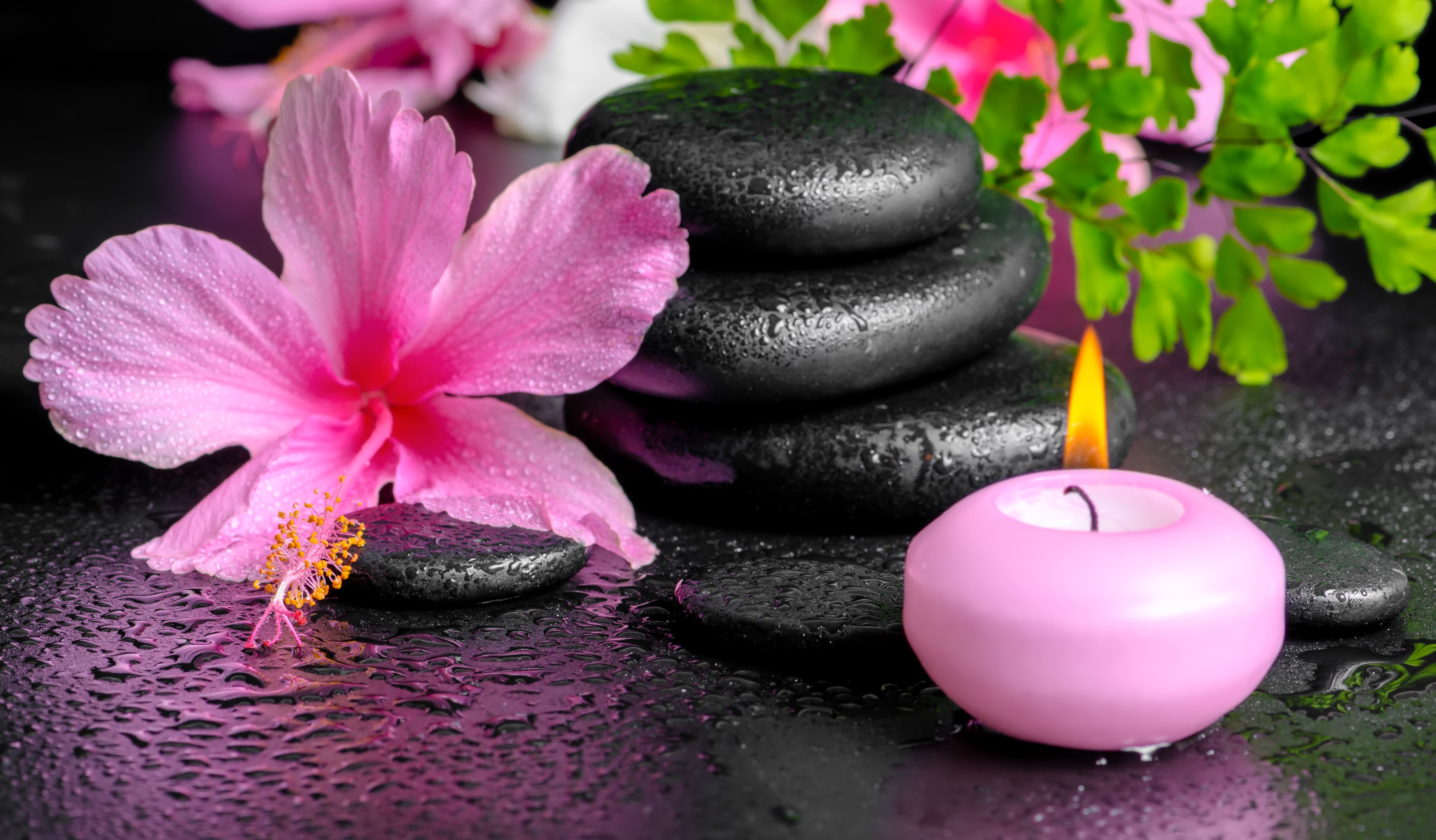 Spa Stones, Hibiscus Flower, and Candle with Drops HD Wallpaper