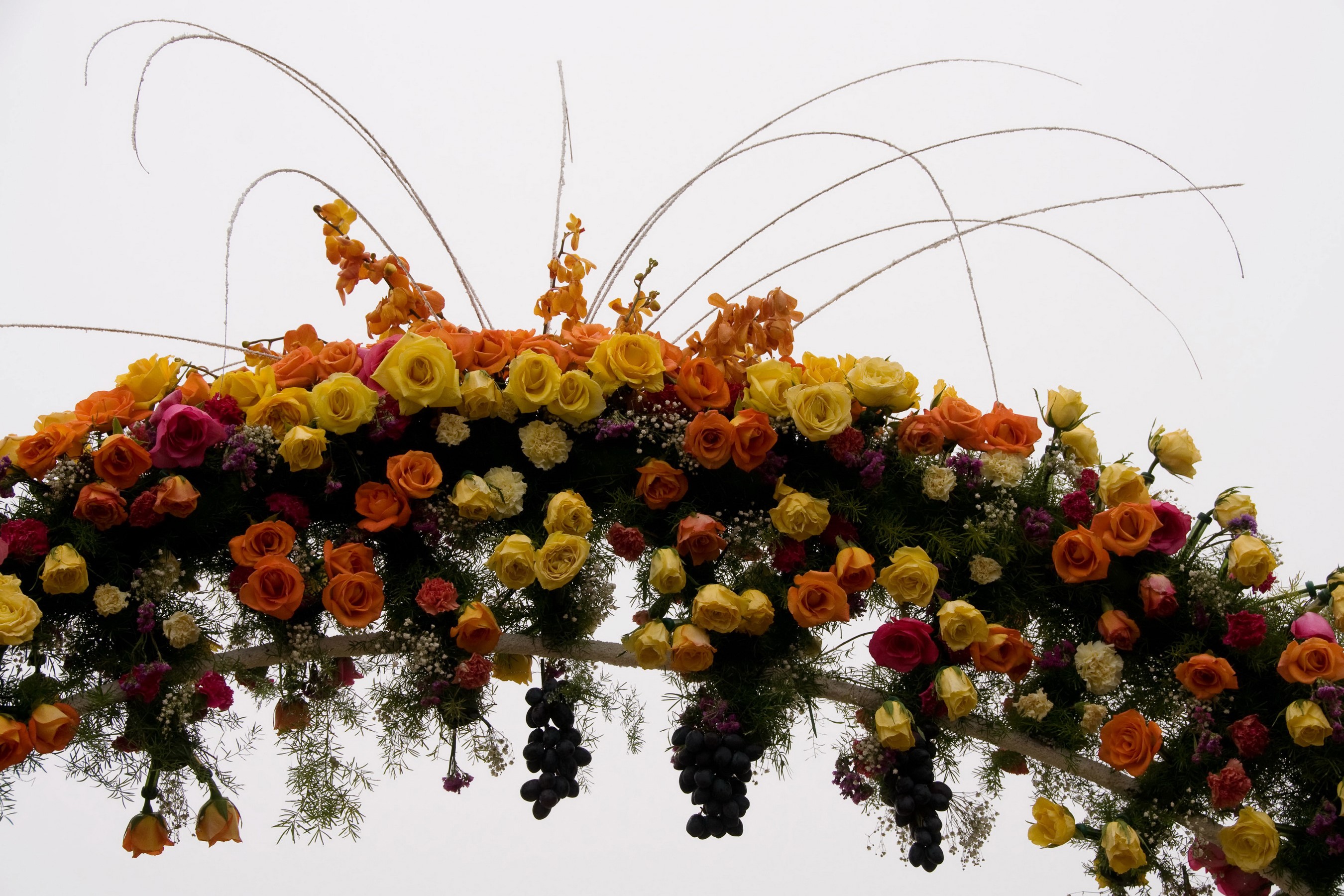Archway decorated with roses and grapes HD Wallpaper