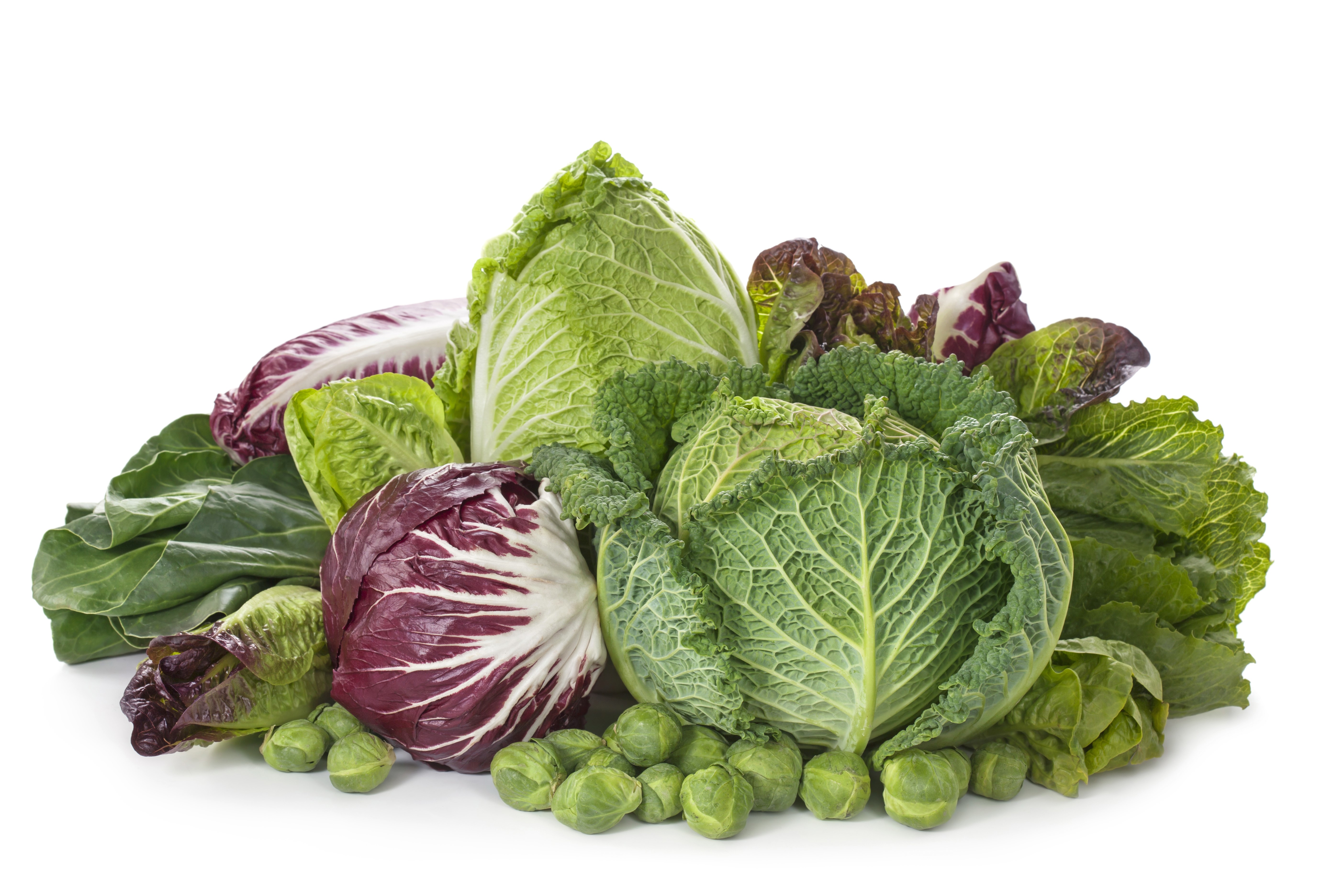 Assortment of Fresh Cabbage and Brussels Sprouts HD Wallpaper