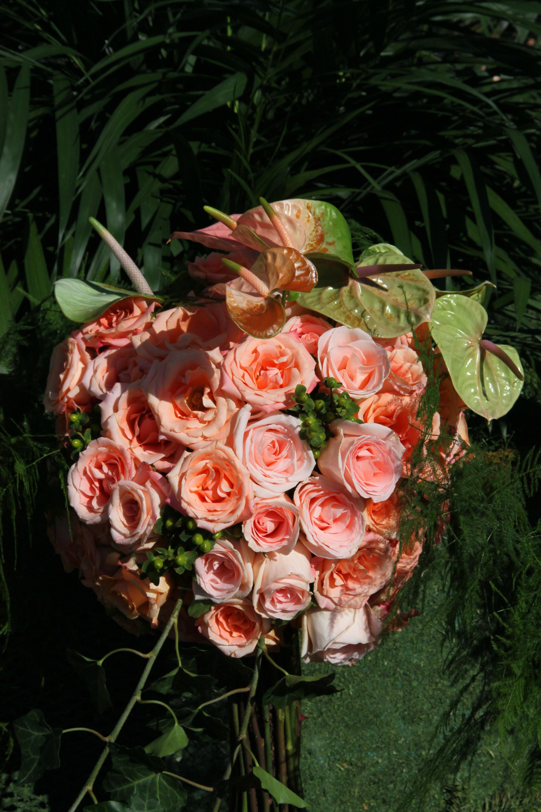 Pink Roses and Anthurium Flower Arrangement HD Phone Wallpaper