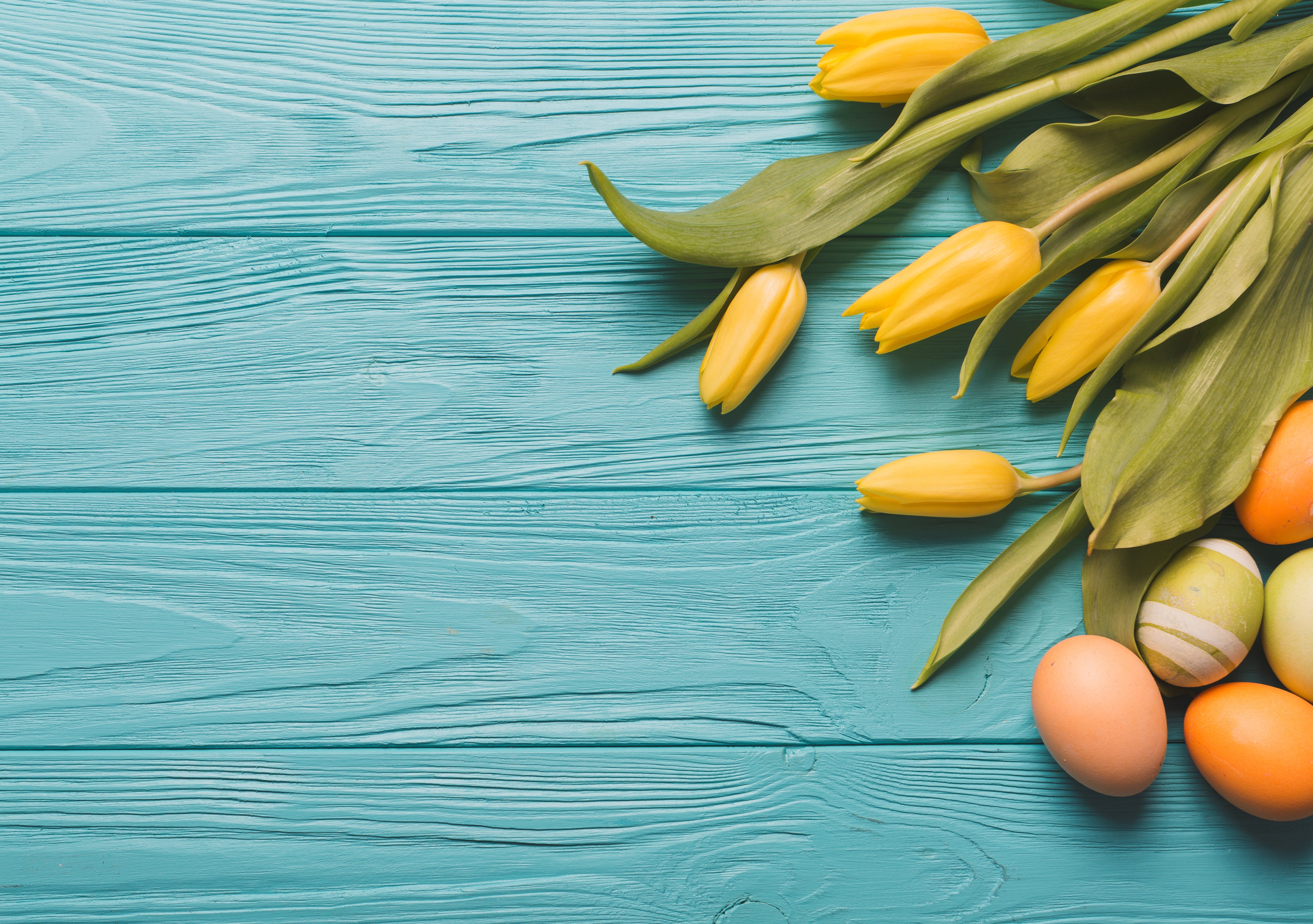 Yellow Tulips and Easter Eggs on Blue Wood Planks HD Wallpaper