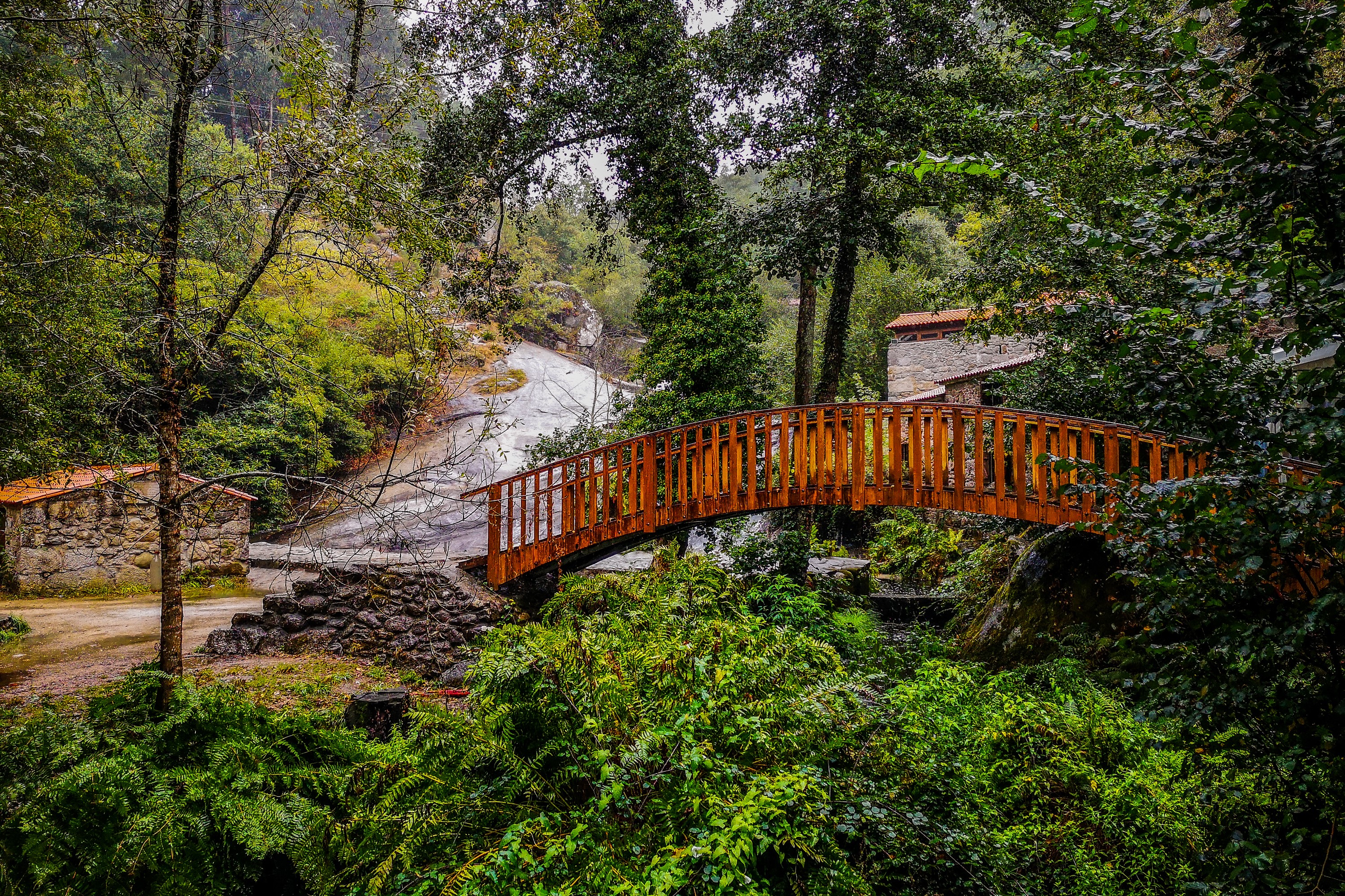 Wooden bridge over a stream in Barro, Galicia, Spain HD Wallpaper