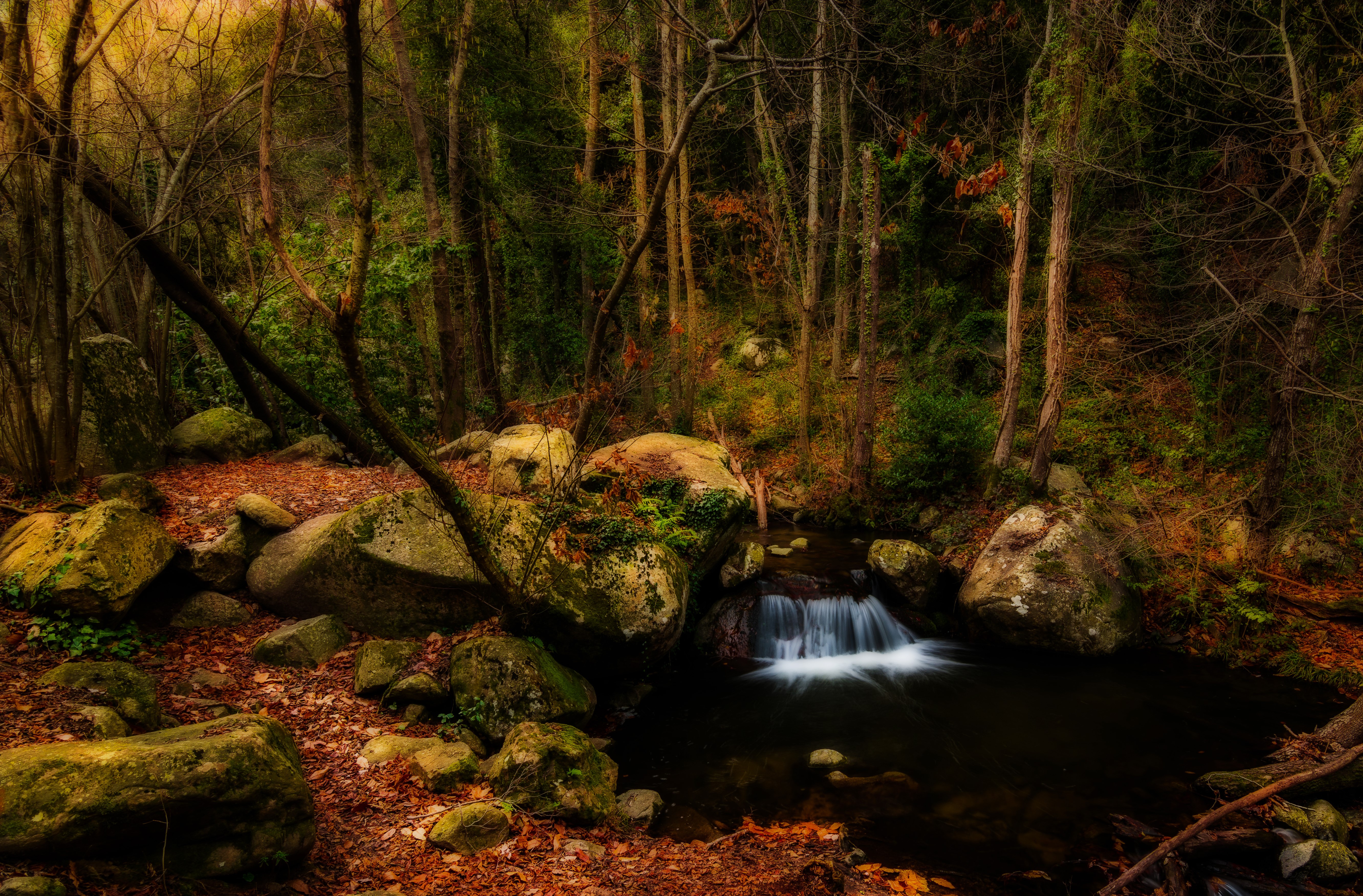 Forest waterfall with rocks and autumn leaves in Catalonia, Spain HD Wallpaper