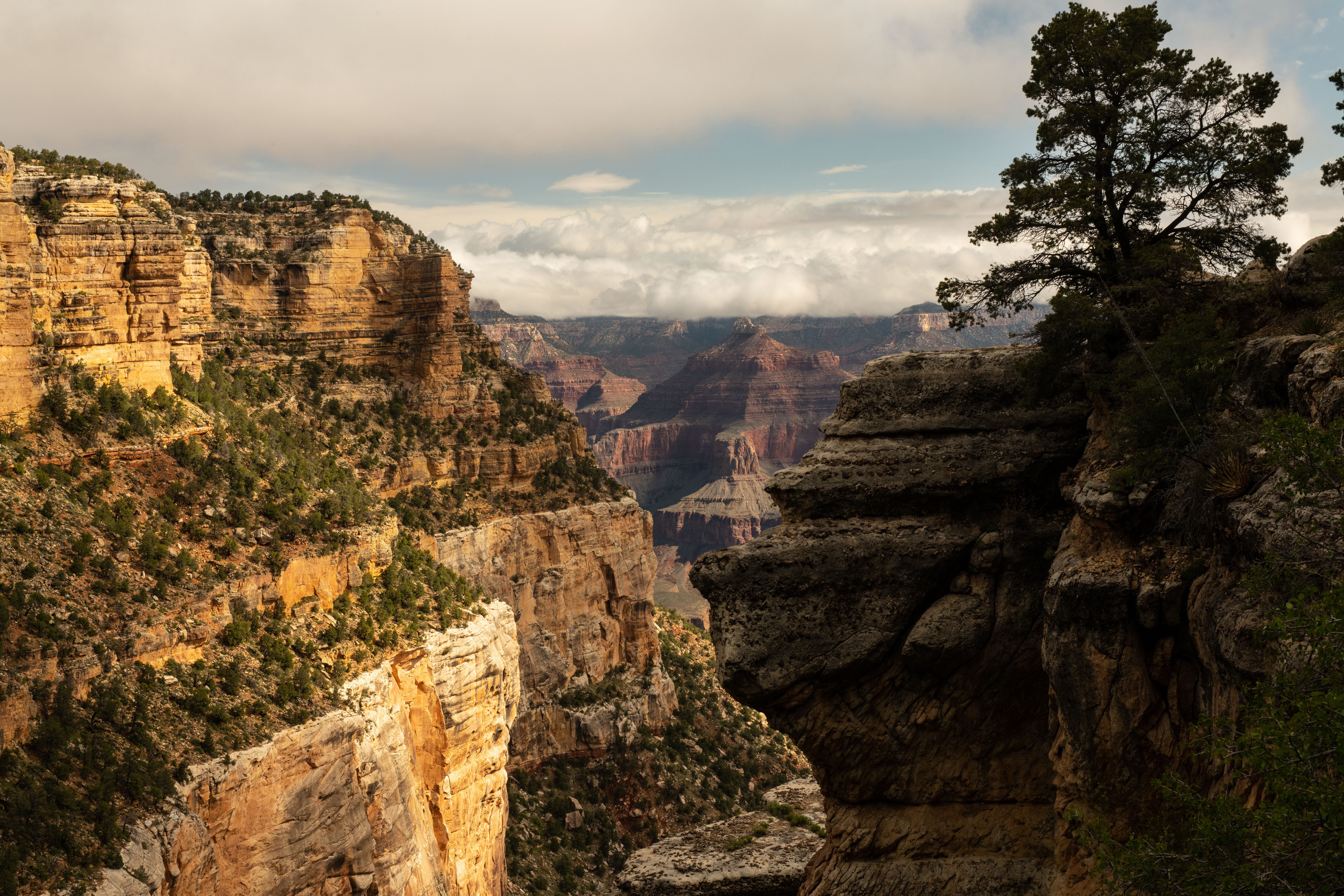 Grand Canyon National Park, USA HD Wallpaper
