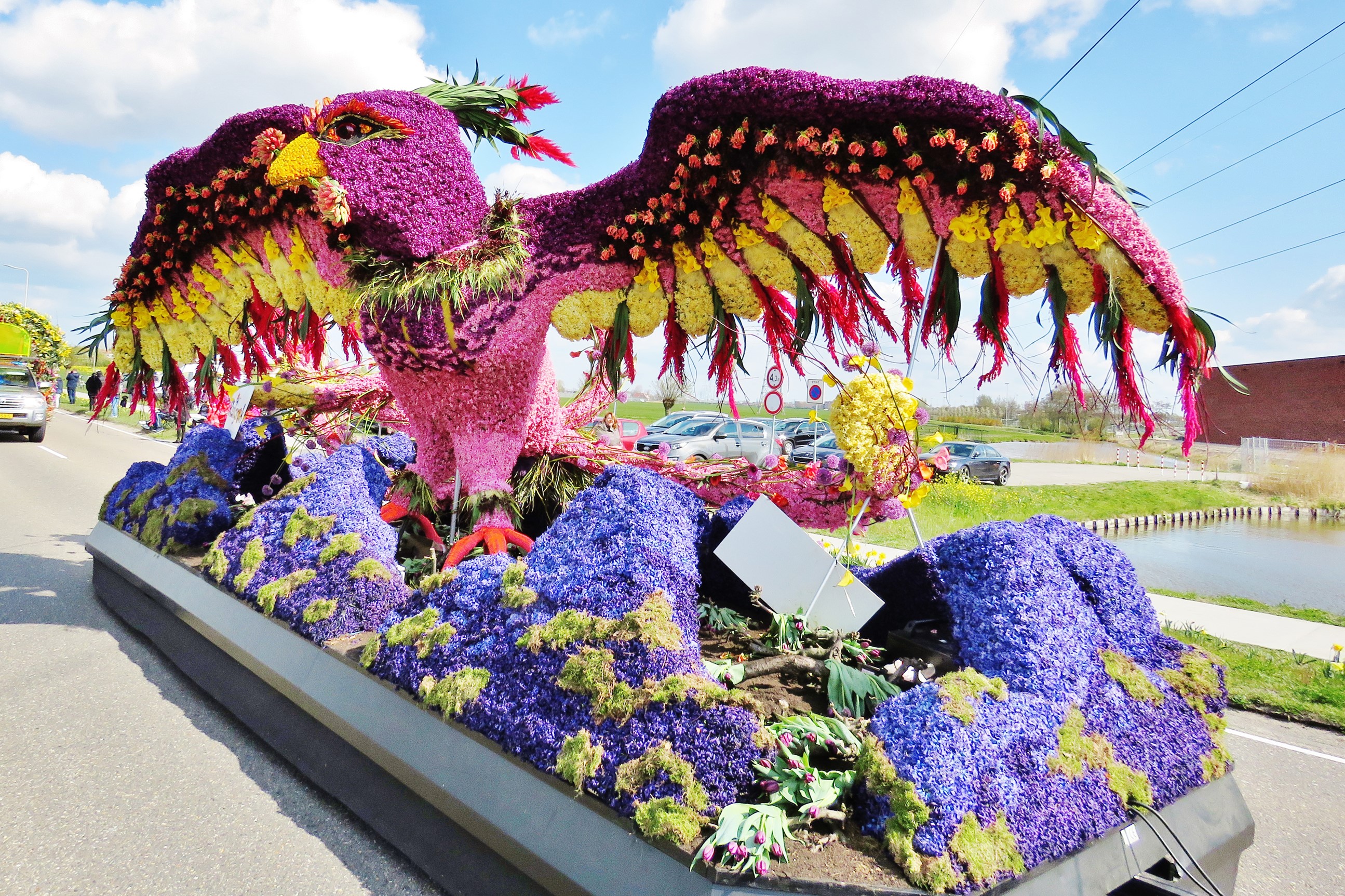 Flower float parade in Lisse, Netherlands HD Wallpaper