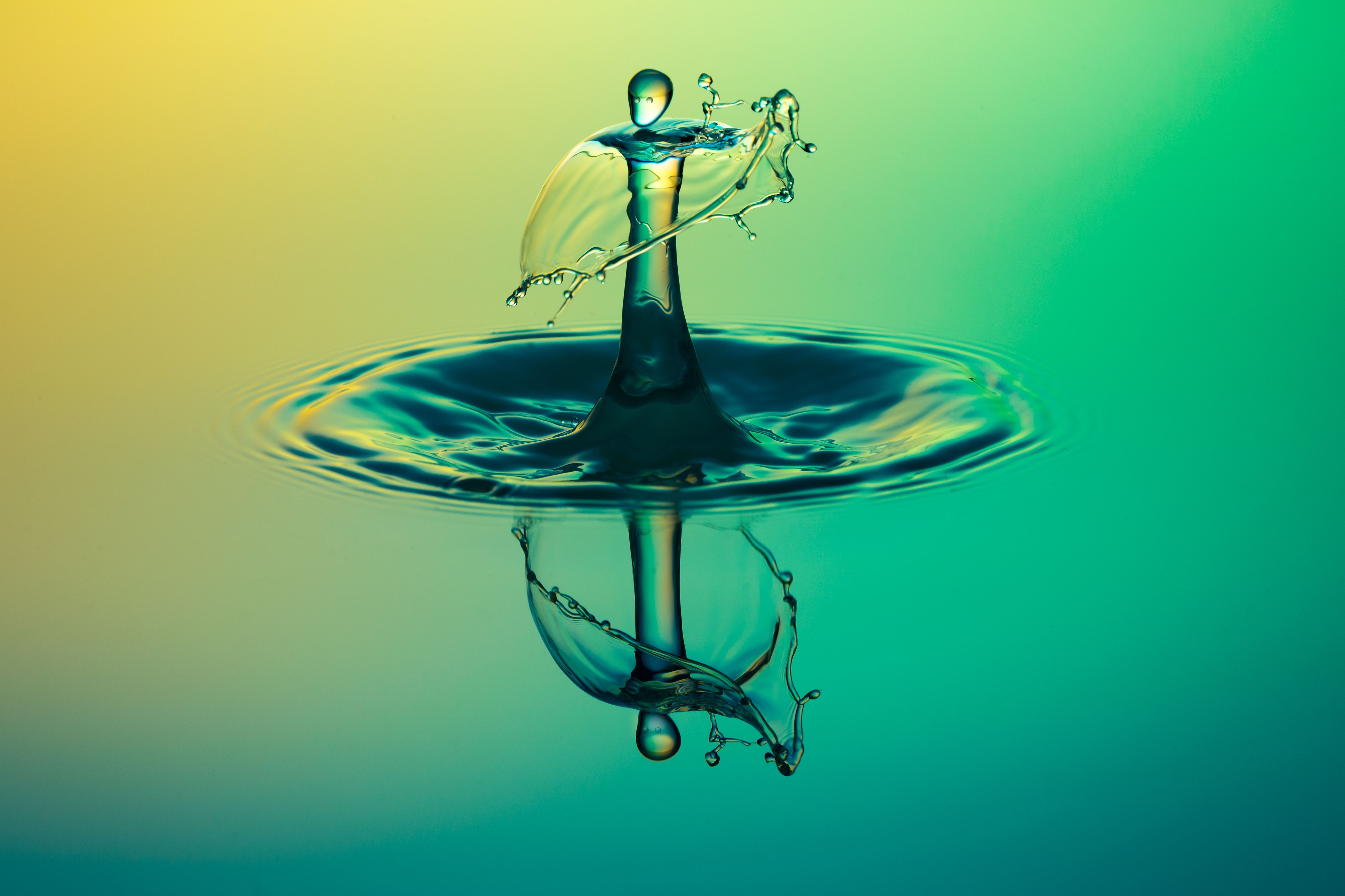 Water drops colliding in macro photography HD Wallpaper