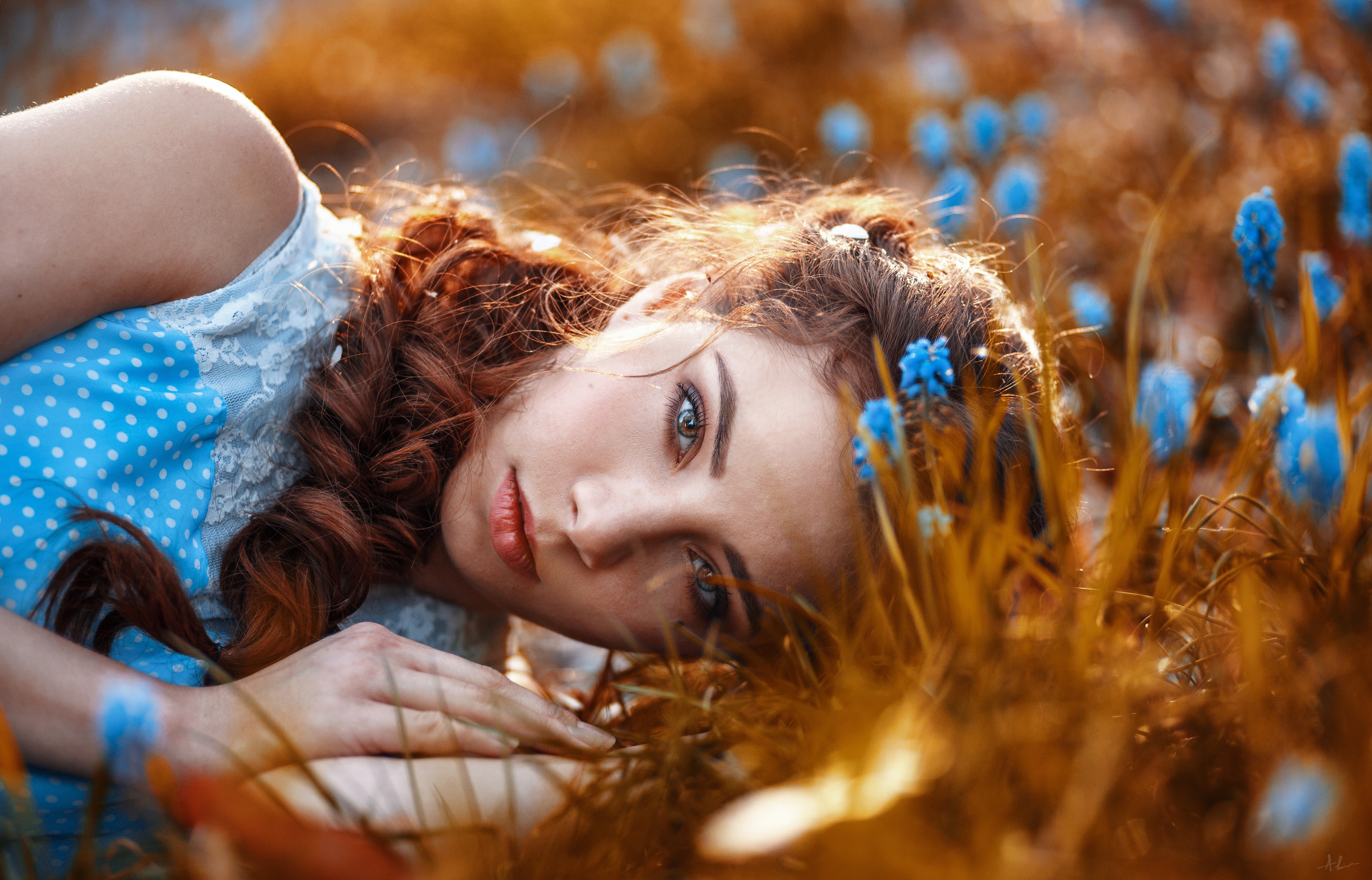 Redhead girl lying in a field of blue flowers HD Wallpaper