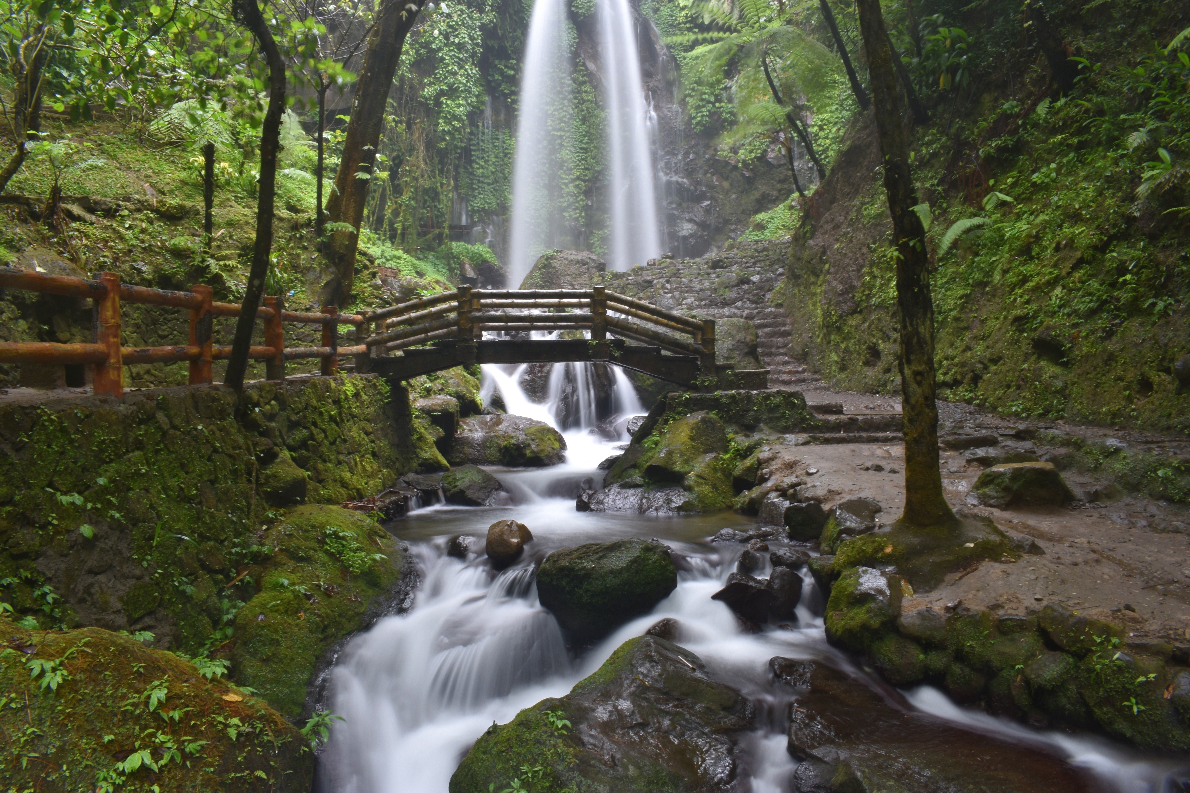 Waterfall with Wooden Bridge and Stream HD Wallpaper
