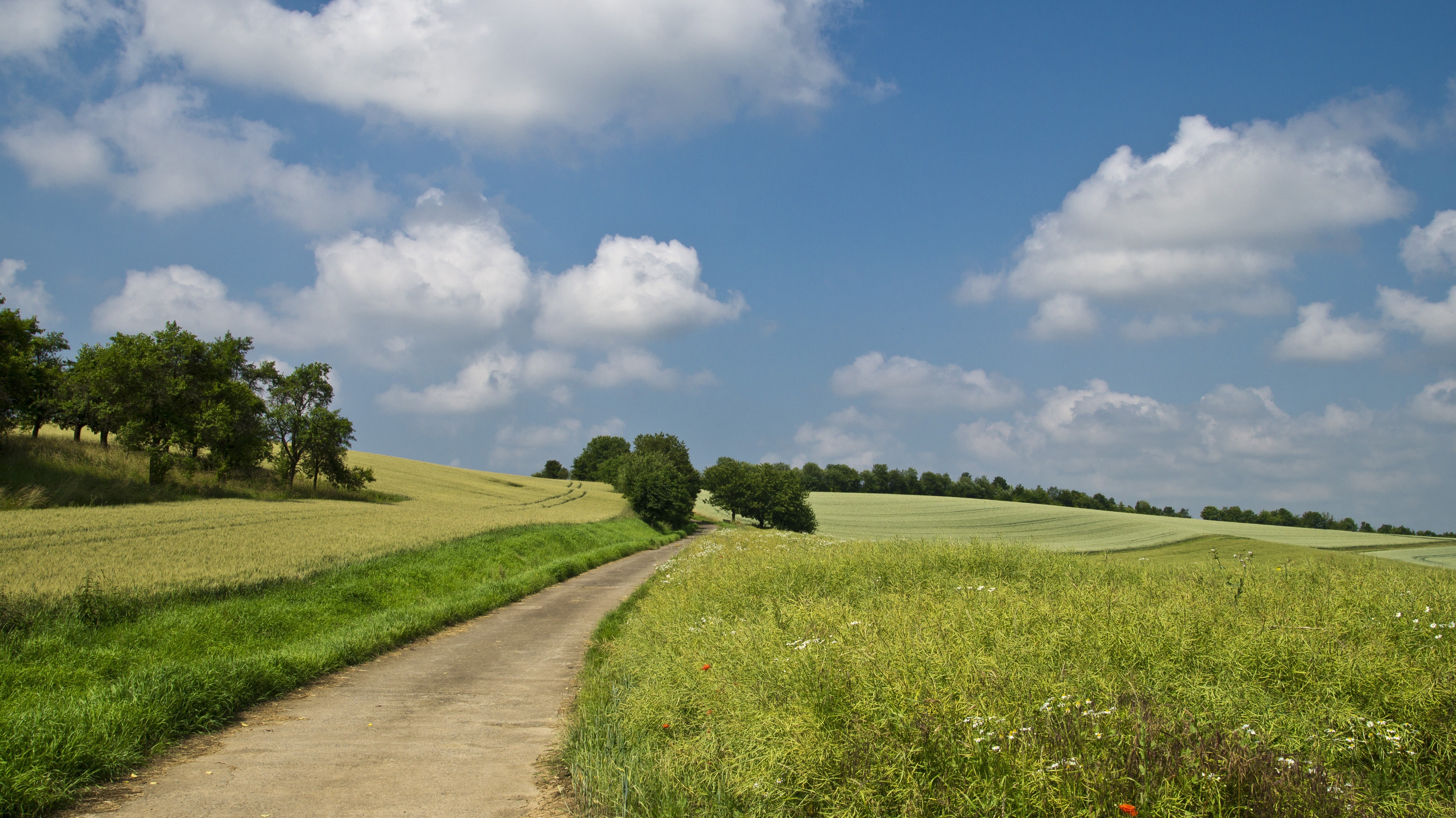 Road through summer grasslands with clouds HD Wallpaper
