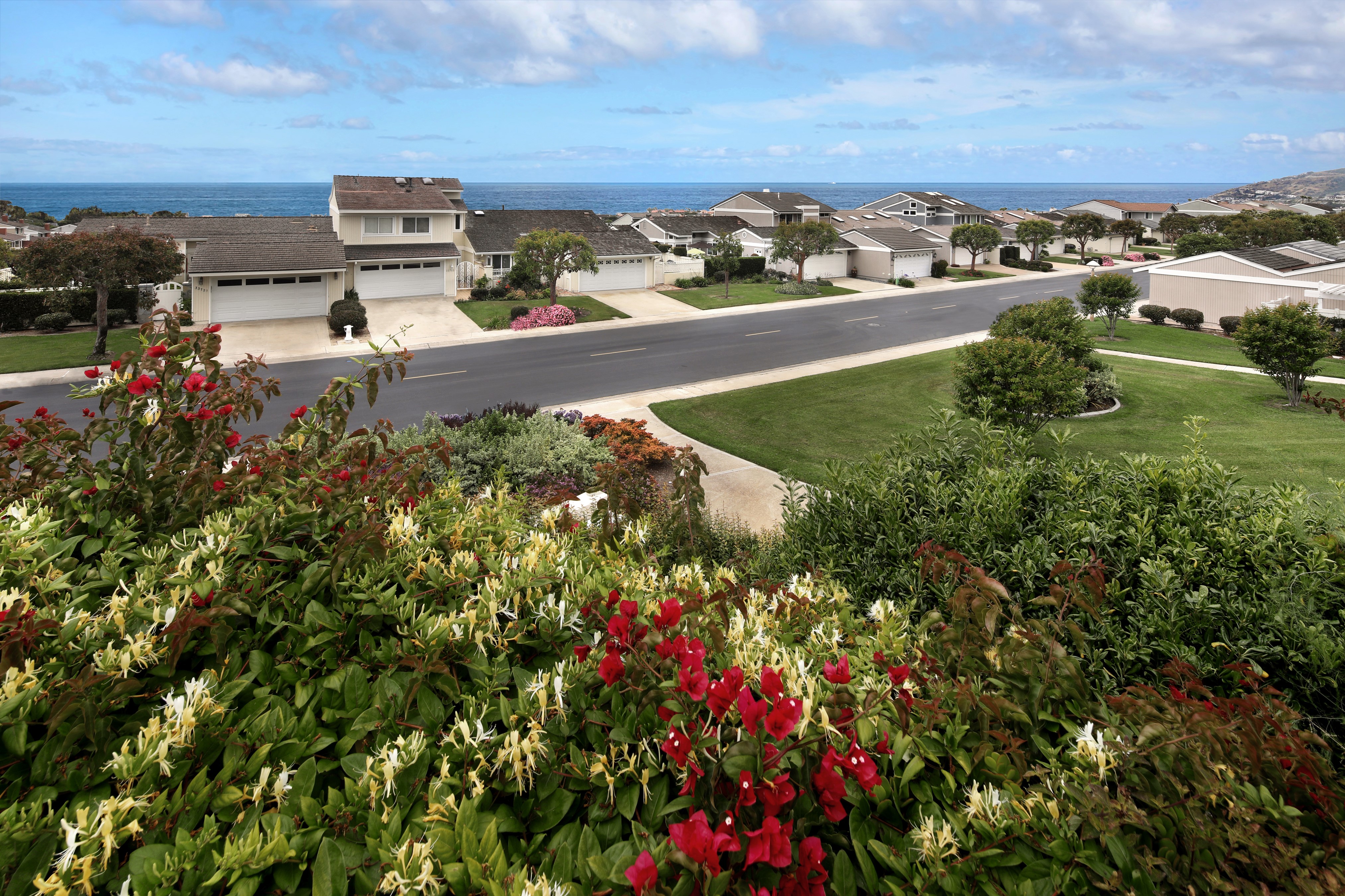 Houses and Ocean View in Dana Point, California HD Wallpaper