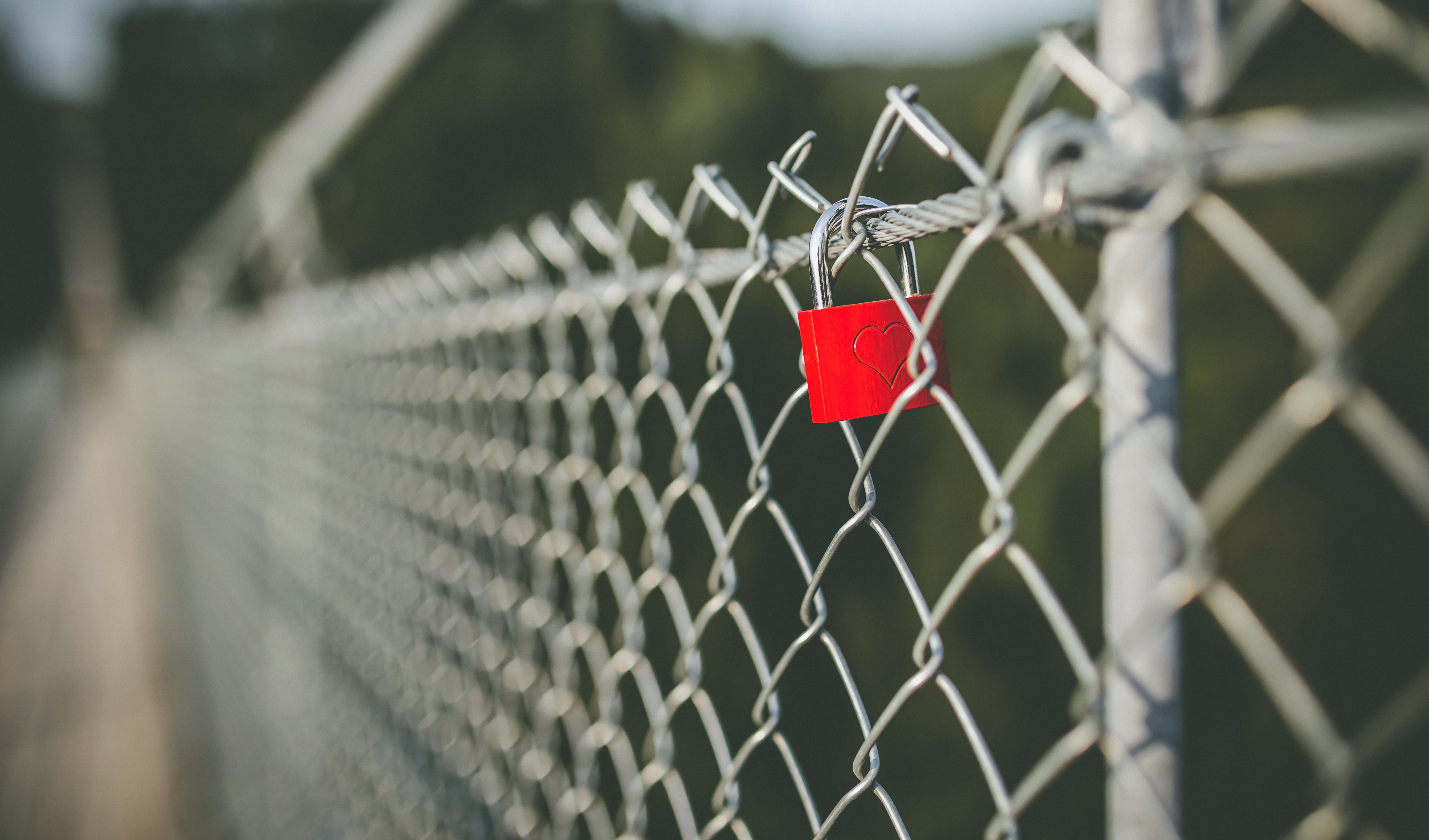 Red padlock with heart on a chain-link fence HD Wallpaper