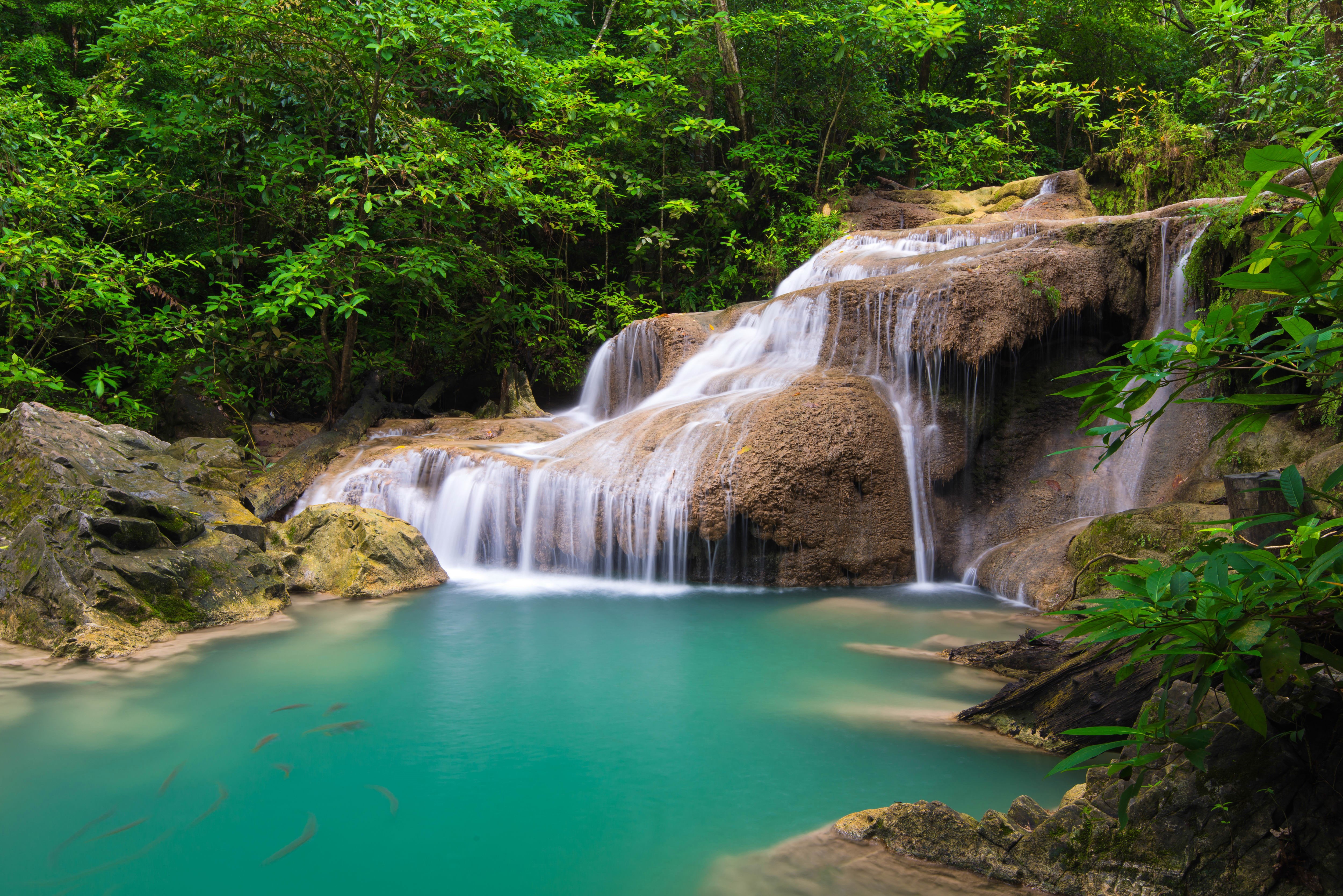 Waterfall in a Tropical Forest, Thailand HD Wallpaper