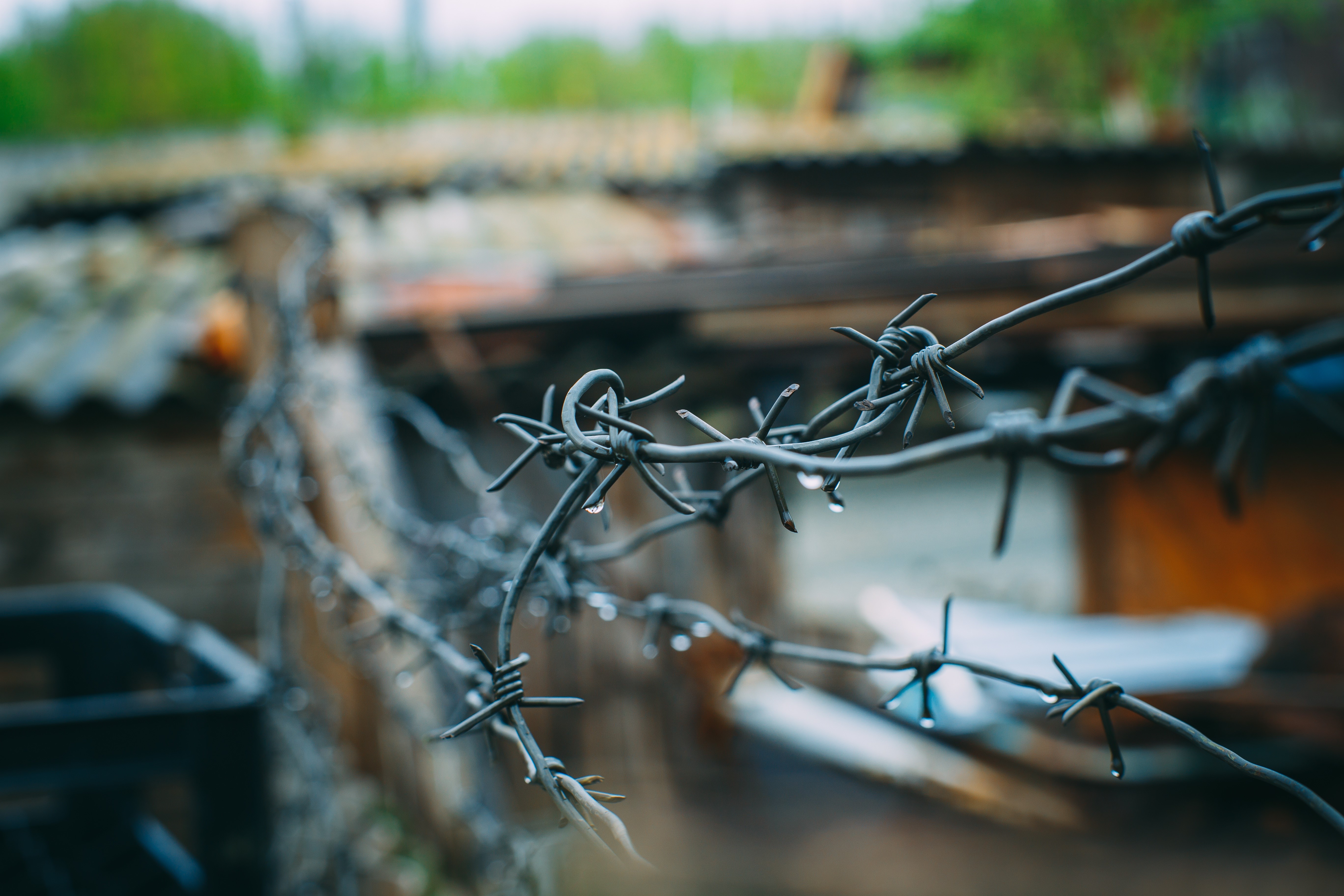 Barbed wire with water droplets HD Wallpaper