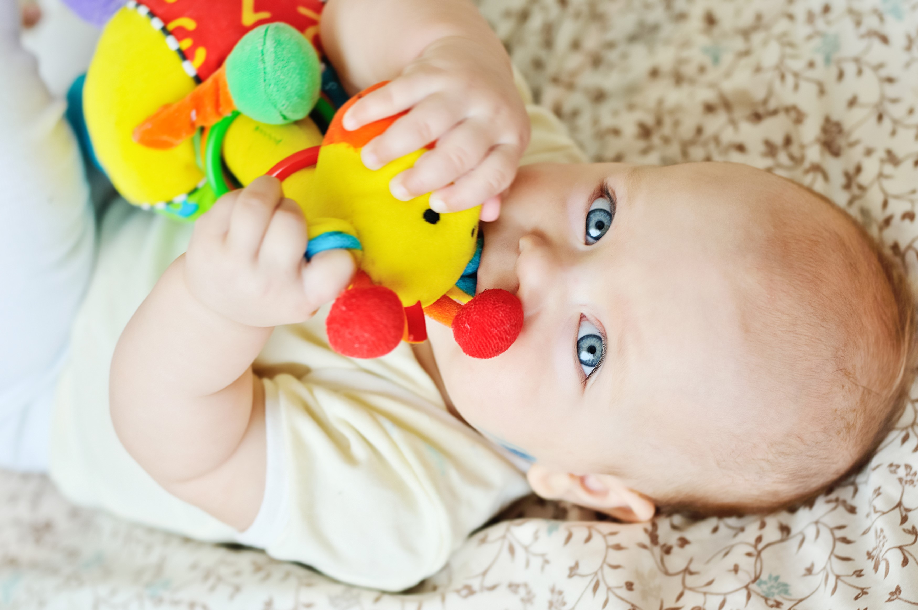 Baby playing with a colorful caterpillar toy HD Wallpaper