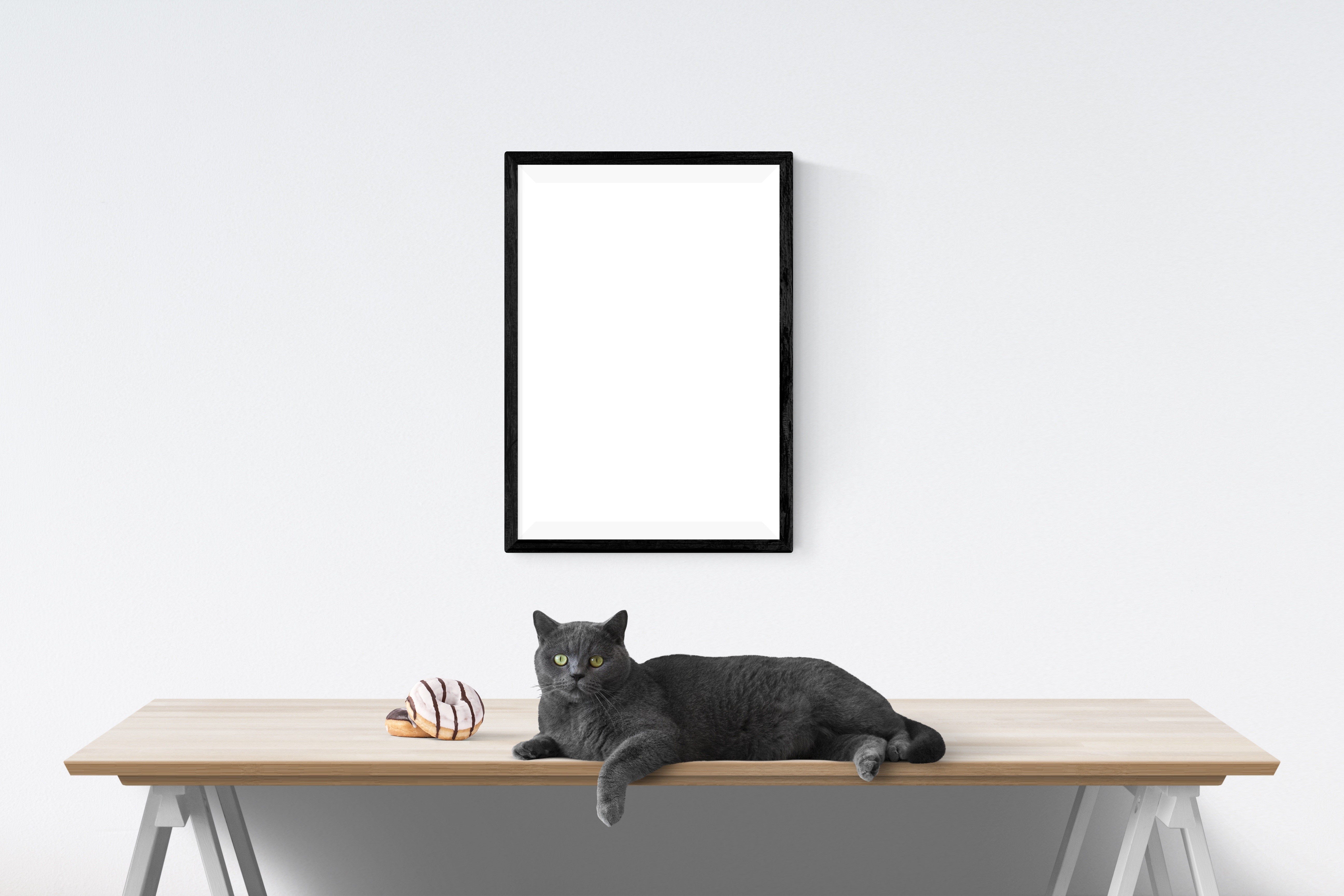Gray Cat and Donut on Table with Picture Frame HD Wallpaper