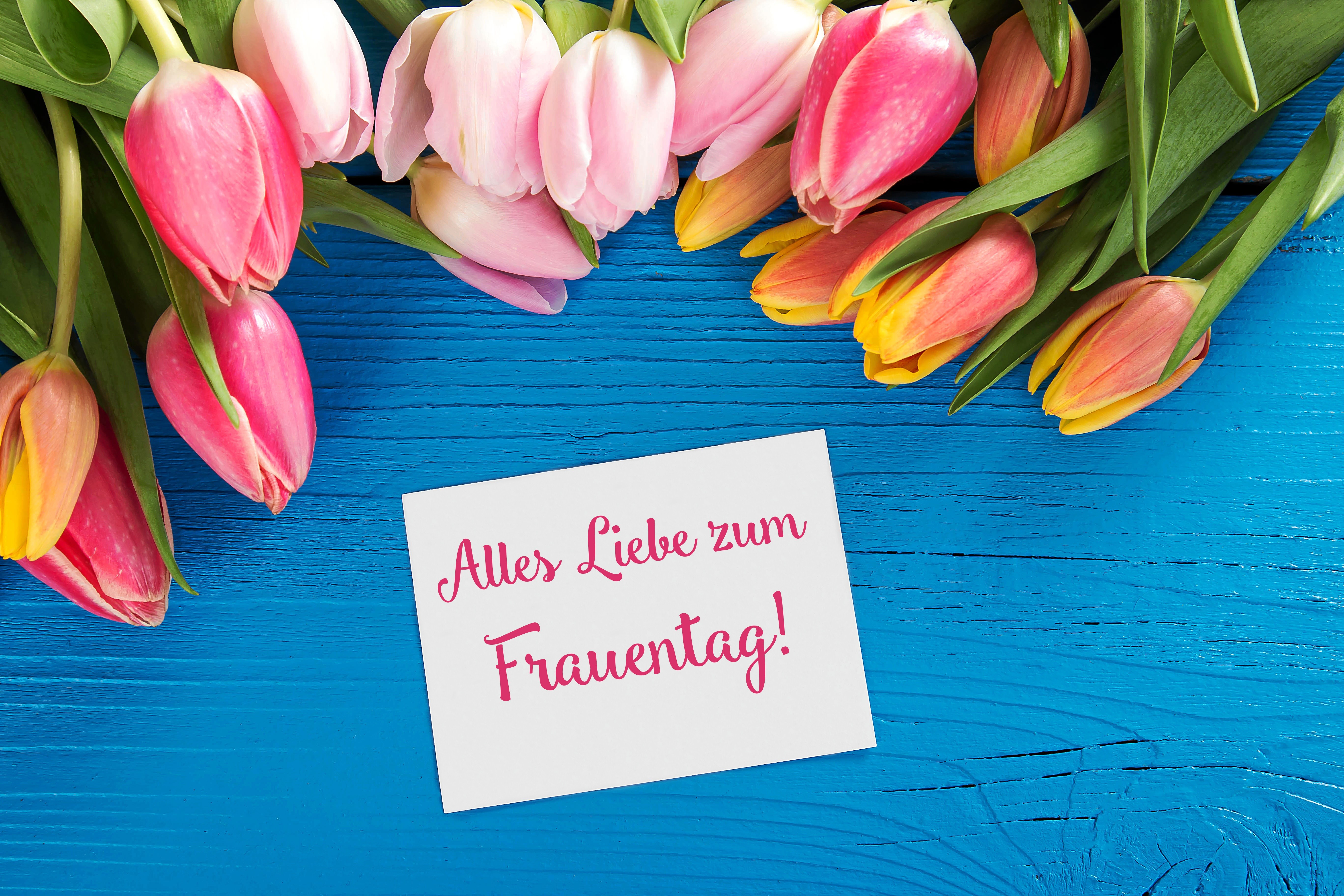 Tulips and a card with German text for Women's Day HD Wallpaper