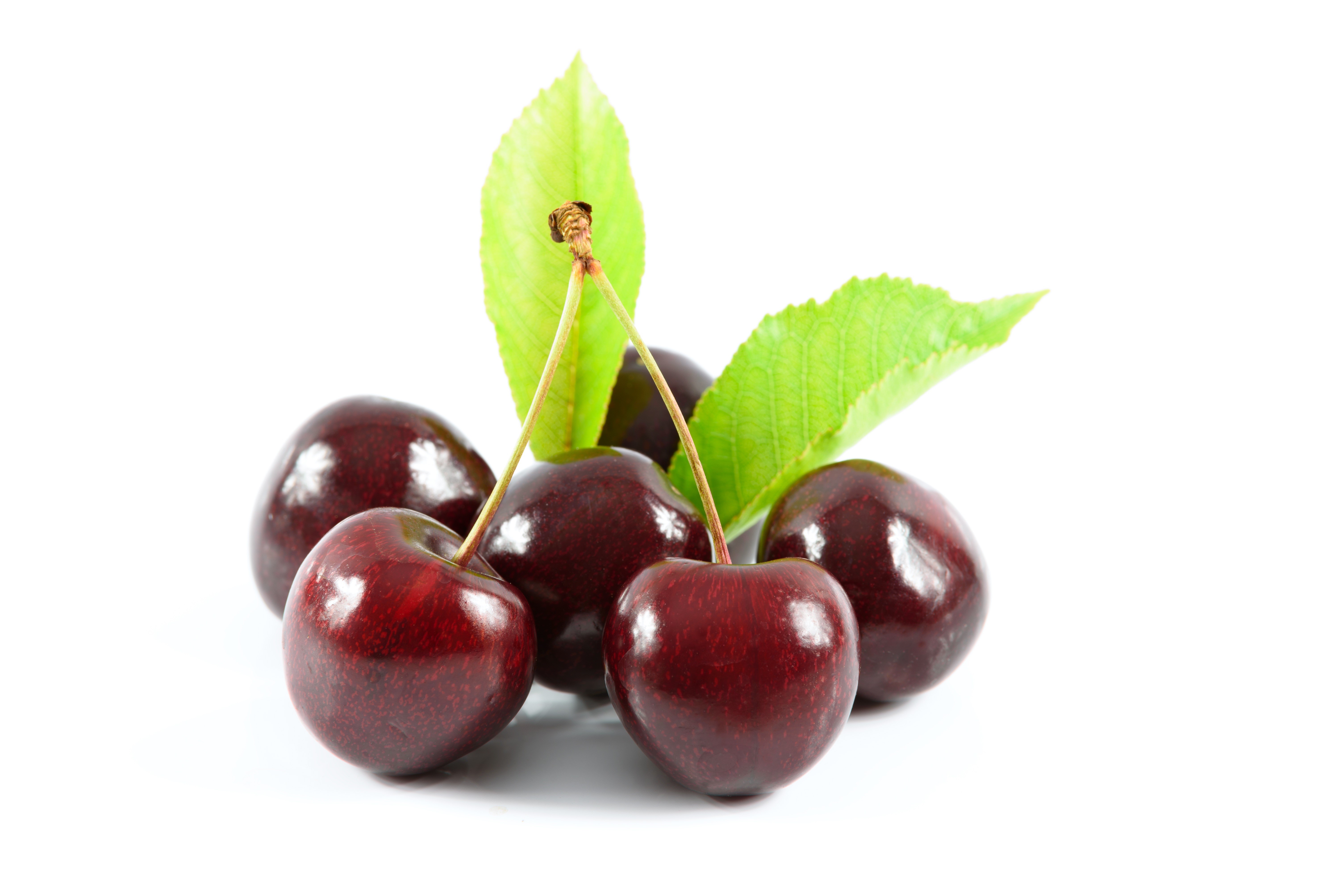Cherries with leaves on white background HD Wallpaper