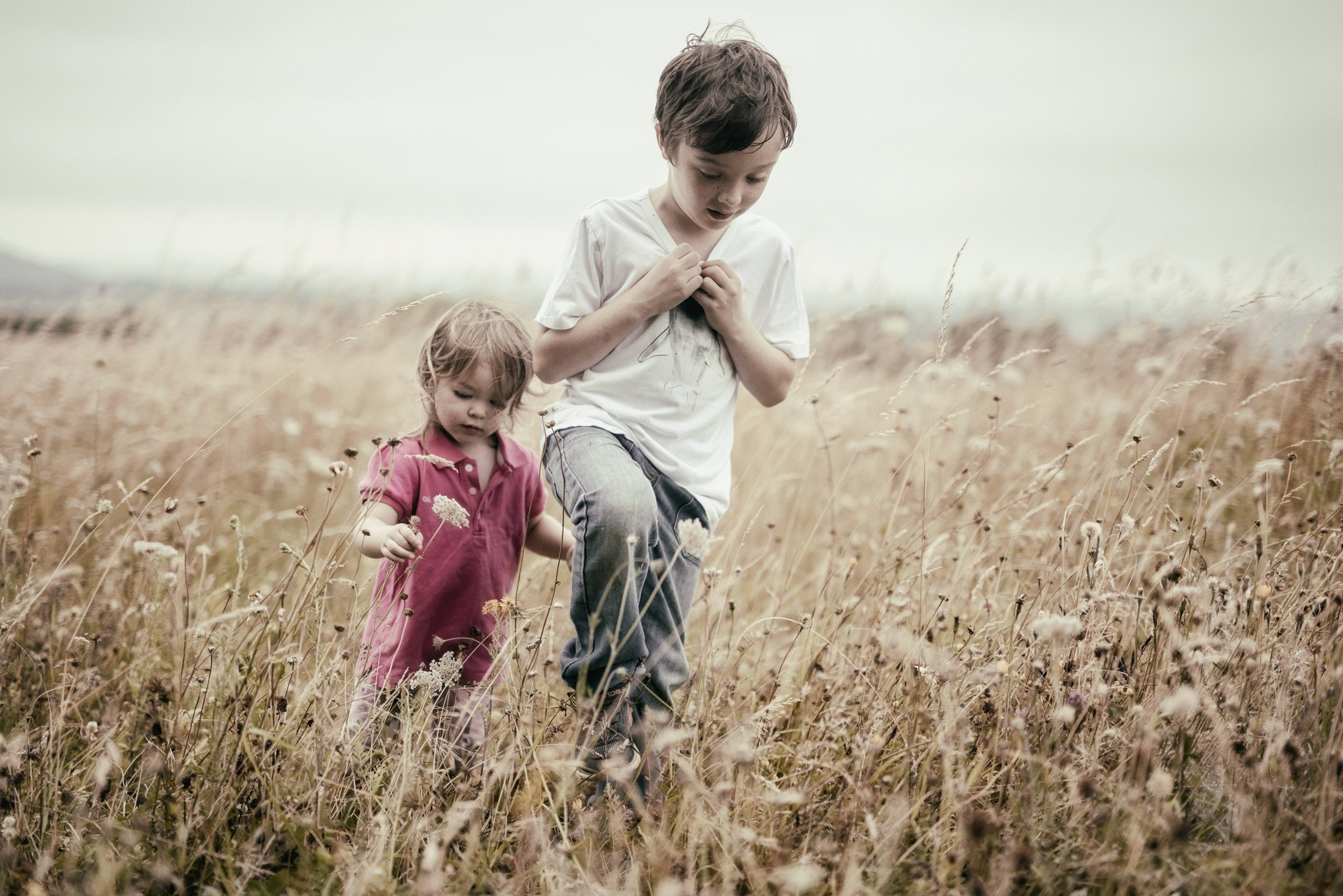 Two young children walking in a field HD Wallpaper