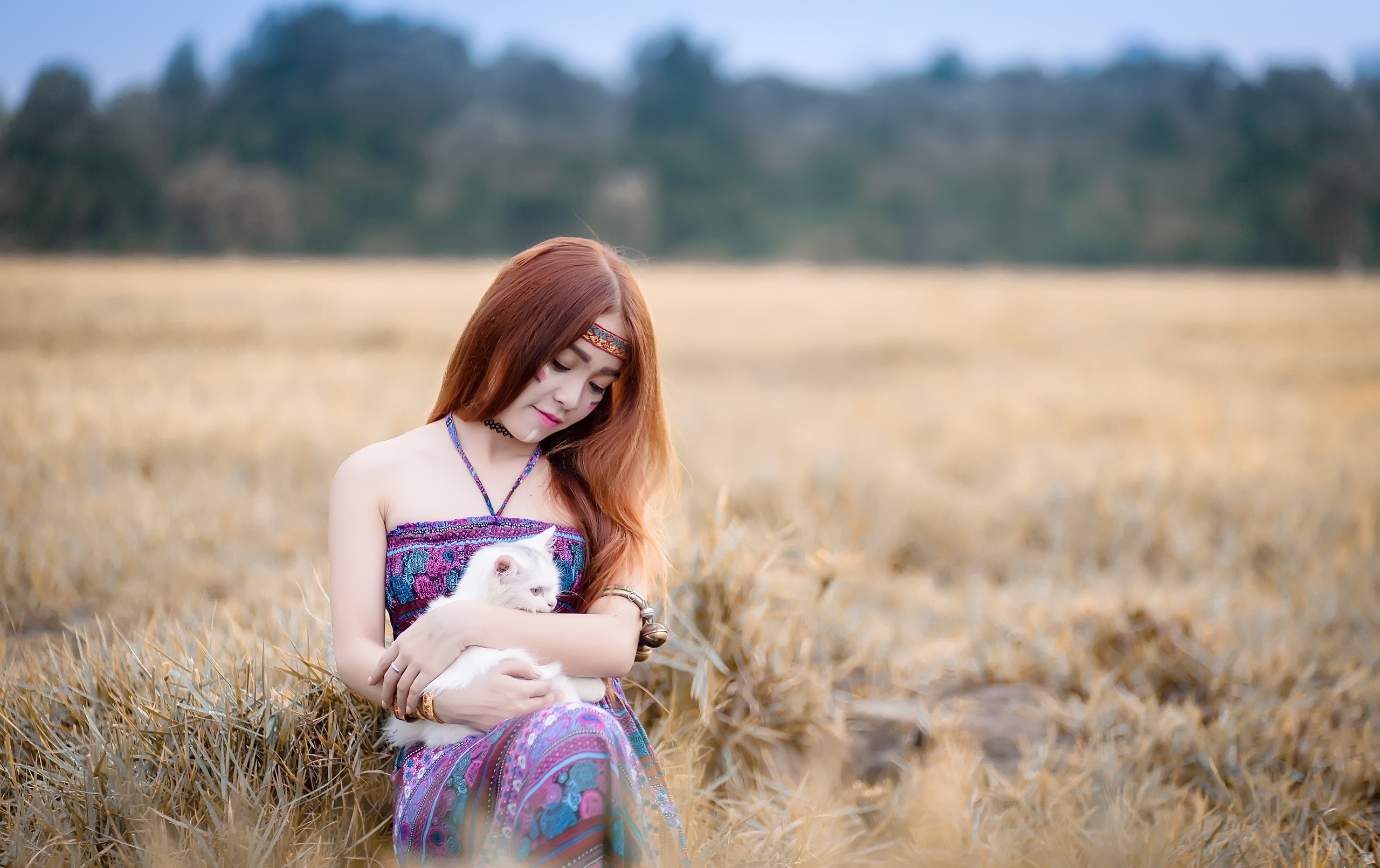 Asian woman with cat in a field HD Wallpaper