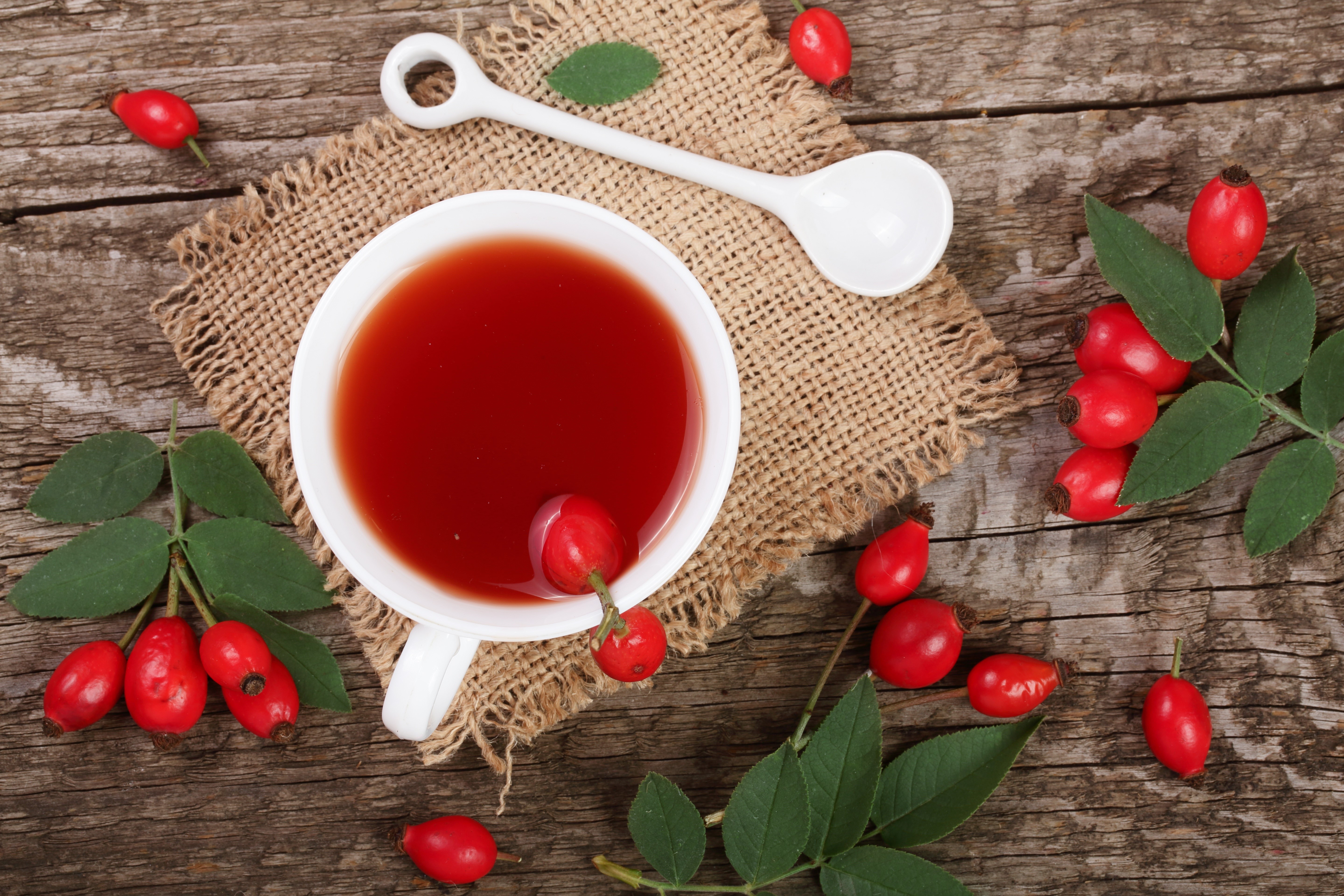 Rose hip tea in a cup with rose hips HD Wallpaper