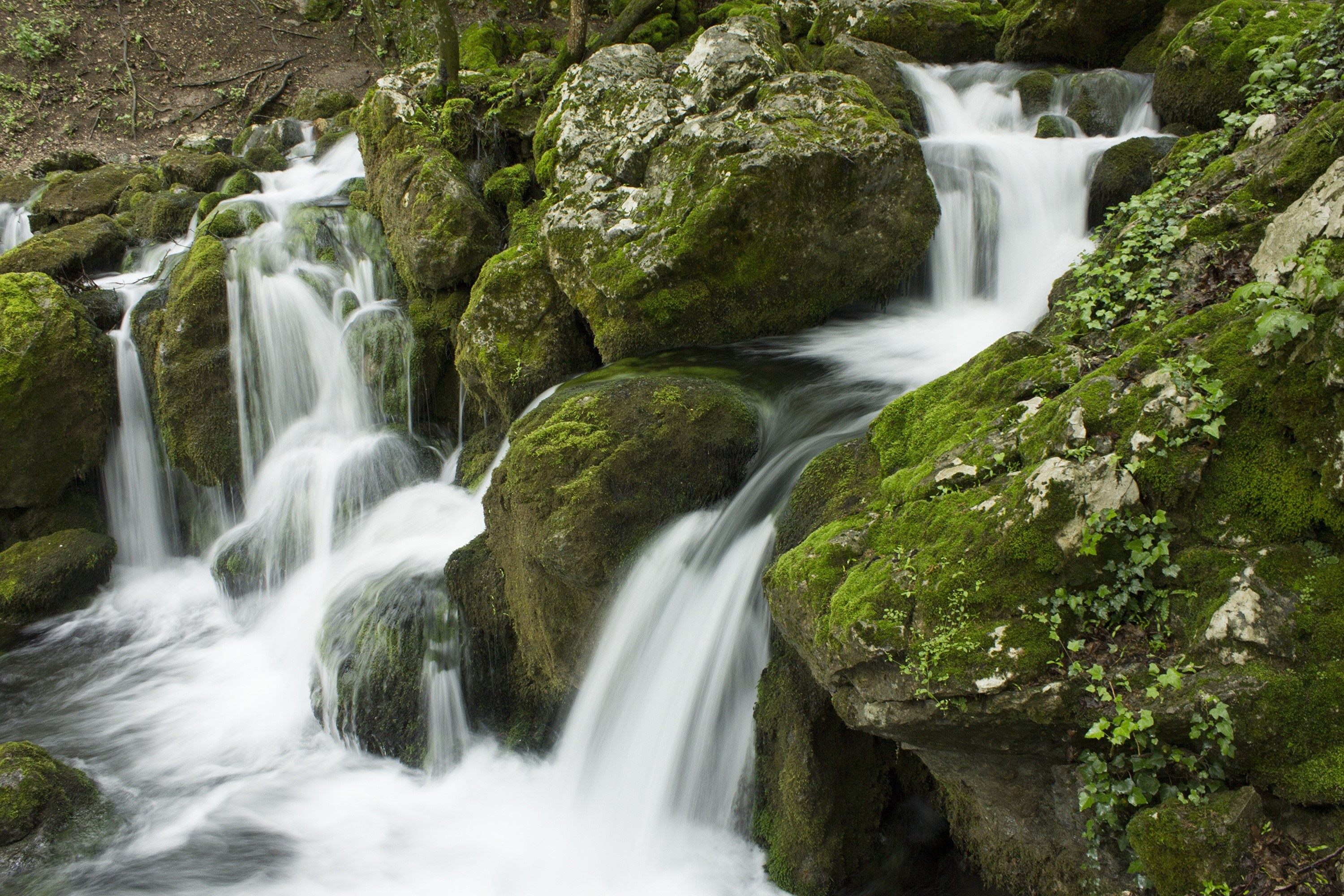 Mossy rocks with cascading waterfalls in a forest HD Wallpaper