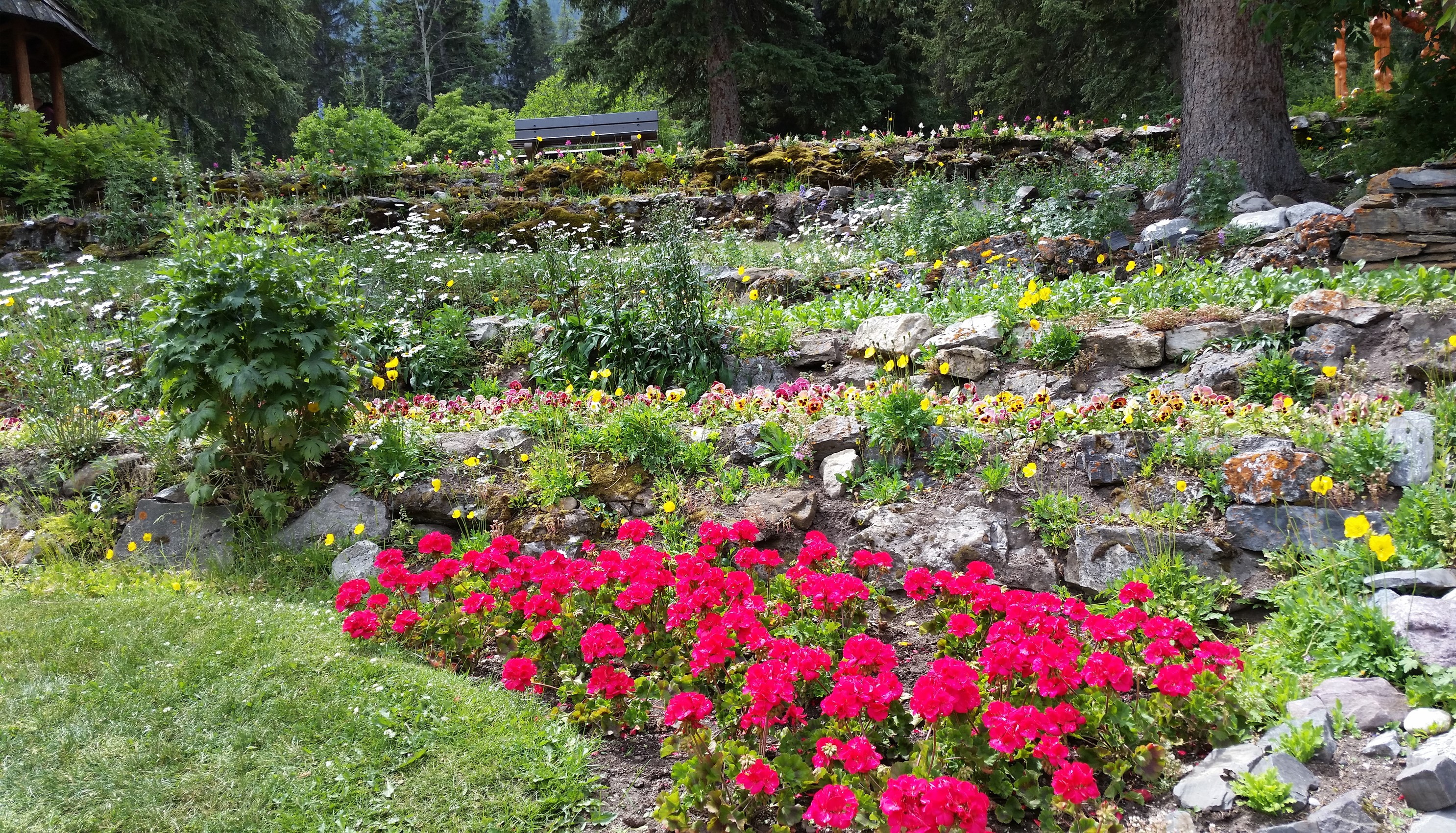 Cascade Gardens Banff National Park with Flowers and Stones HD Wallpaper