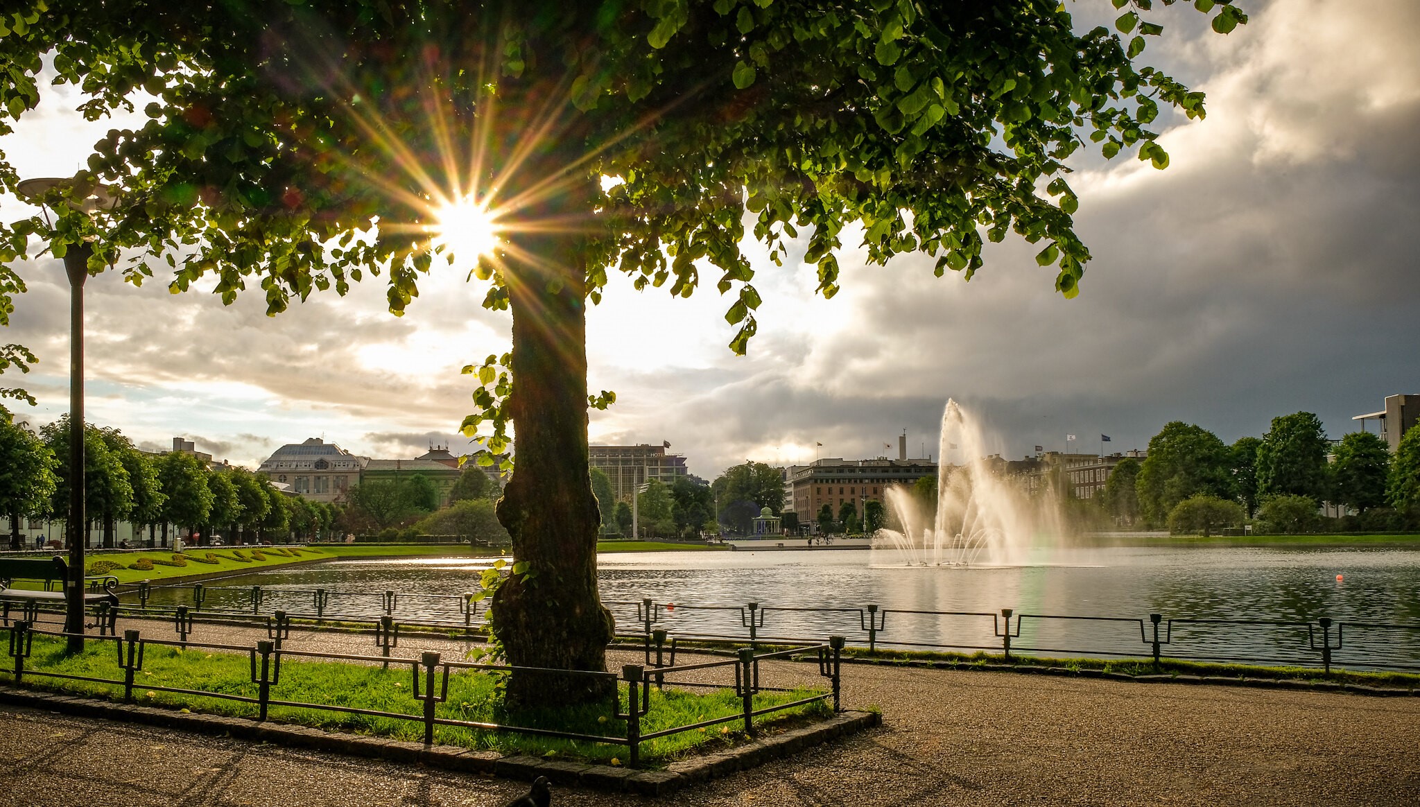 Sun rays through tree over pond with fountain in Bergen HD Wallpaper
