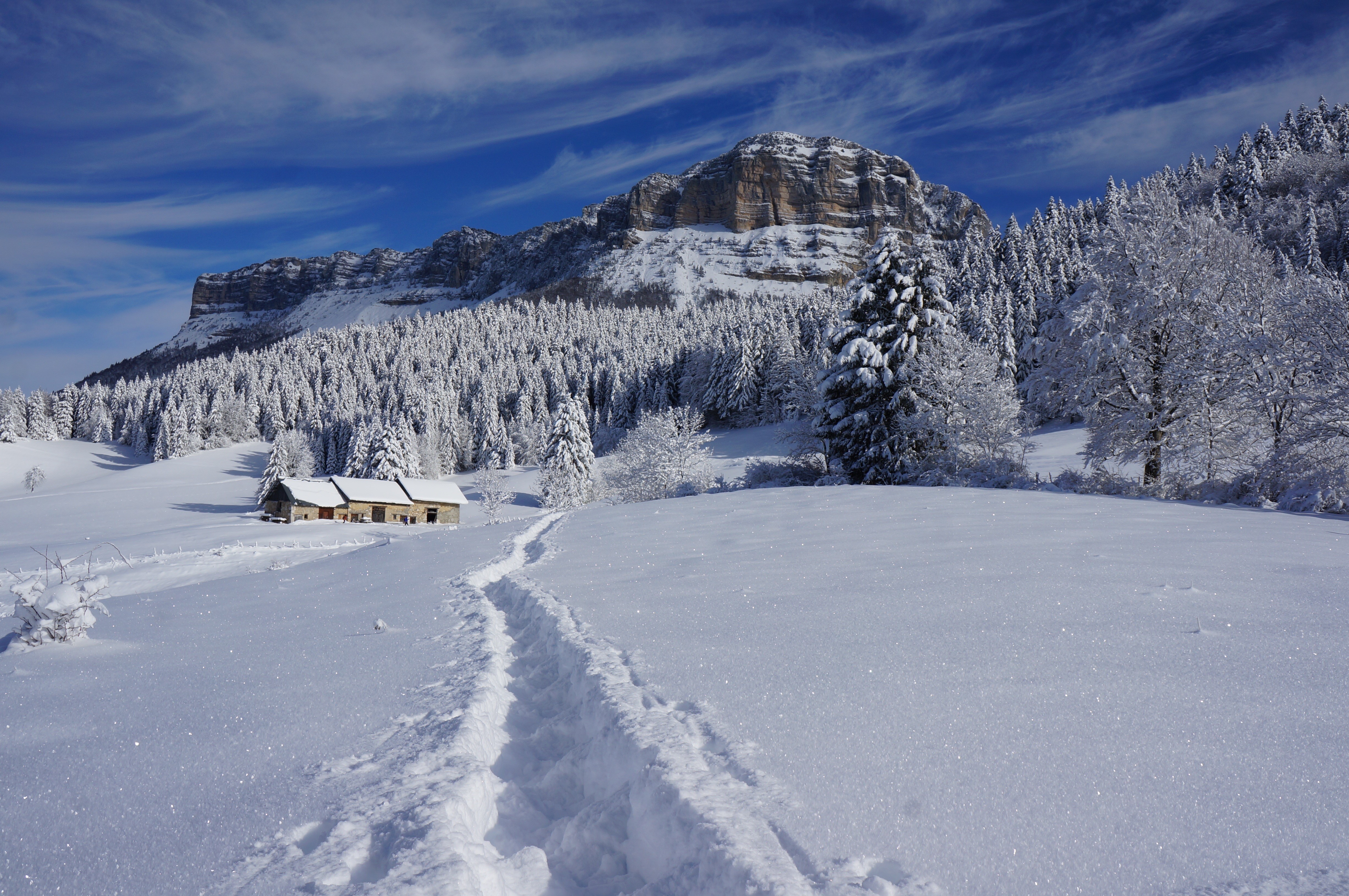 Winter mountain landscape with snow-covered forest and house HD Wallpaper