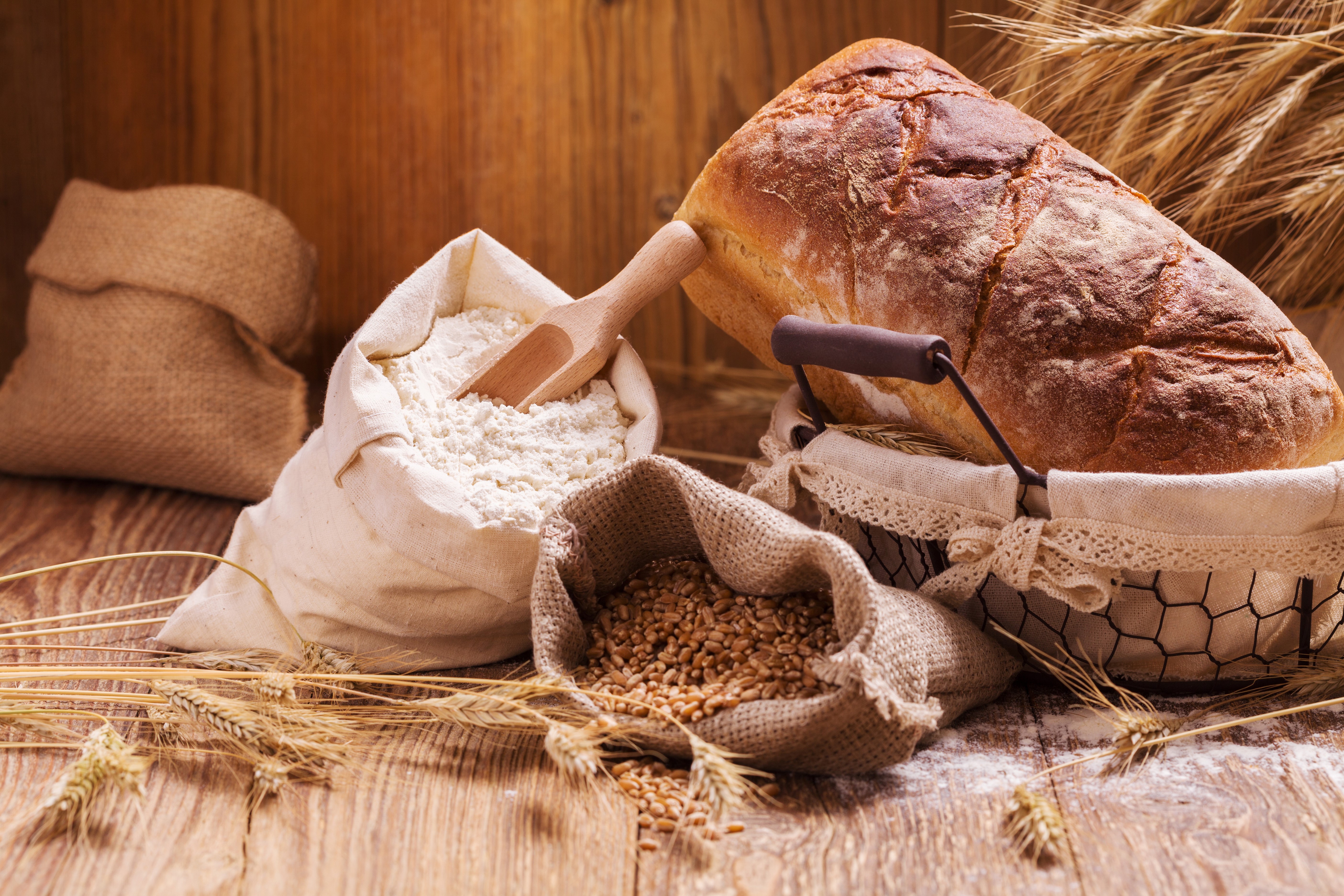 Bread, Flour, and Wheat Grains HD Wallpaper