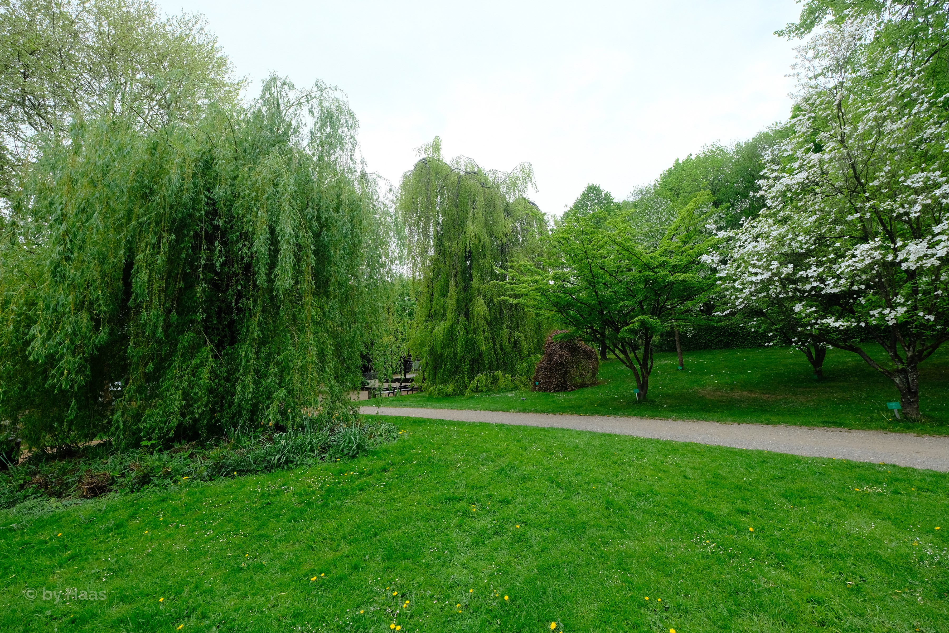 Botanischer Garten Solingen, Germany Park with Trees and Lawn HD Wallpaper