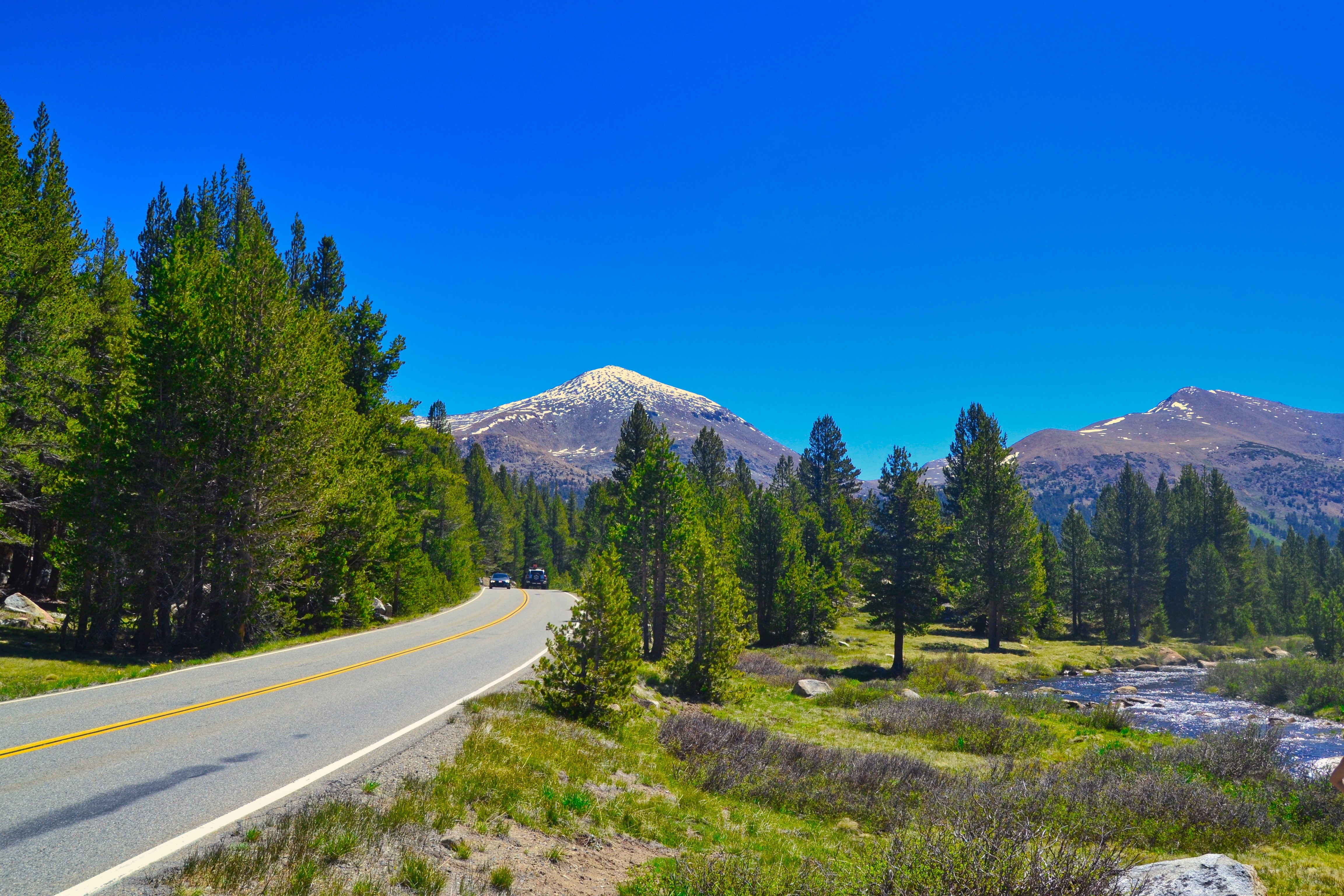 Road through a forest with mountains in Montana, USA HD Wallpaper