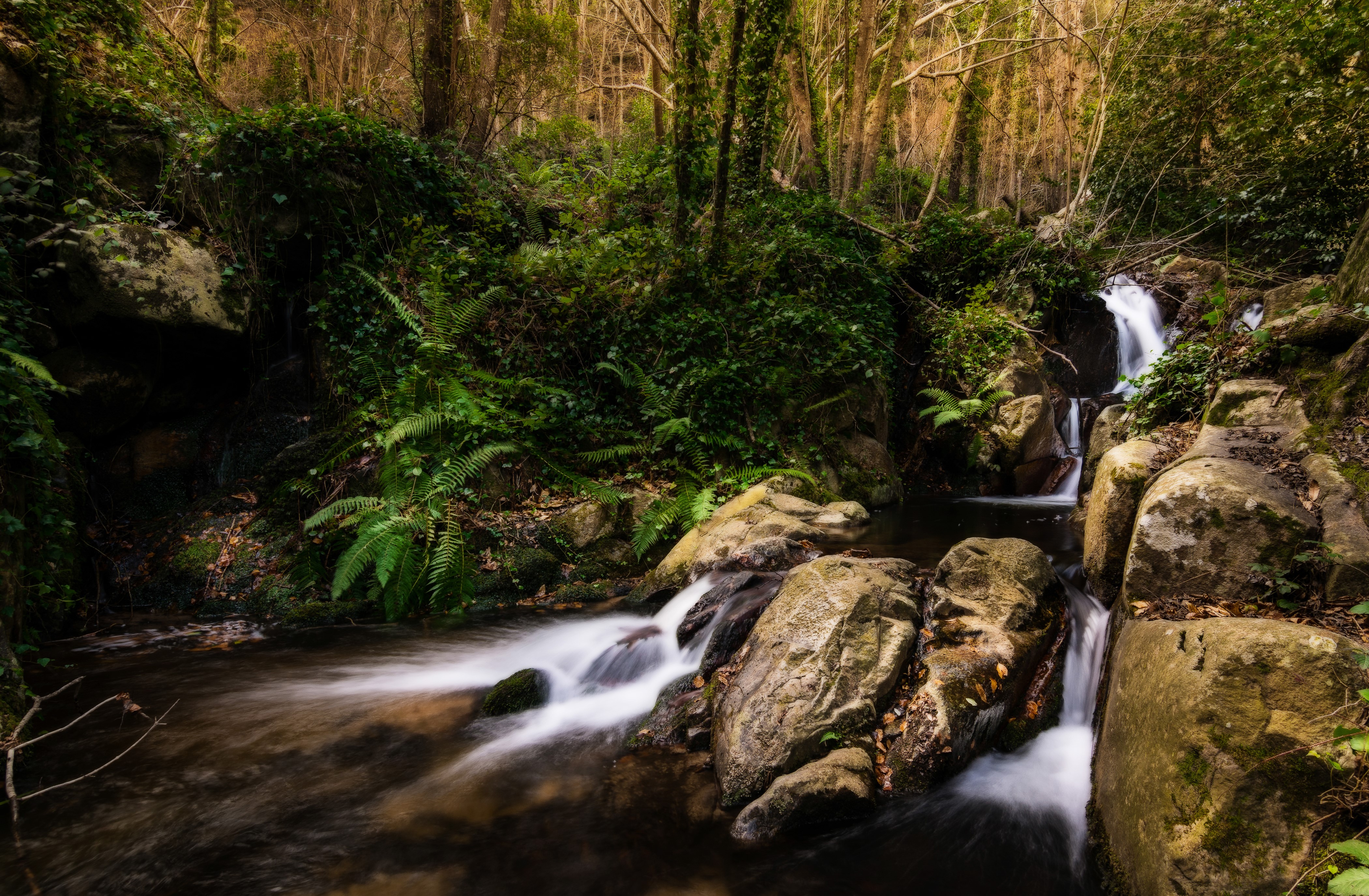 Forest stream with rocks and waterfalls in El Sallent, Catalonia, Spain HD Wallpaper