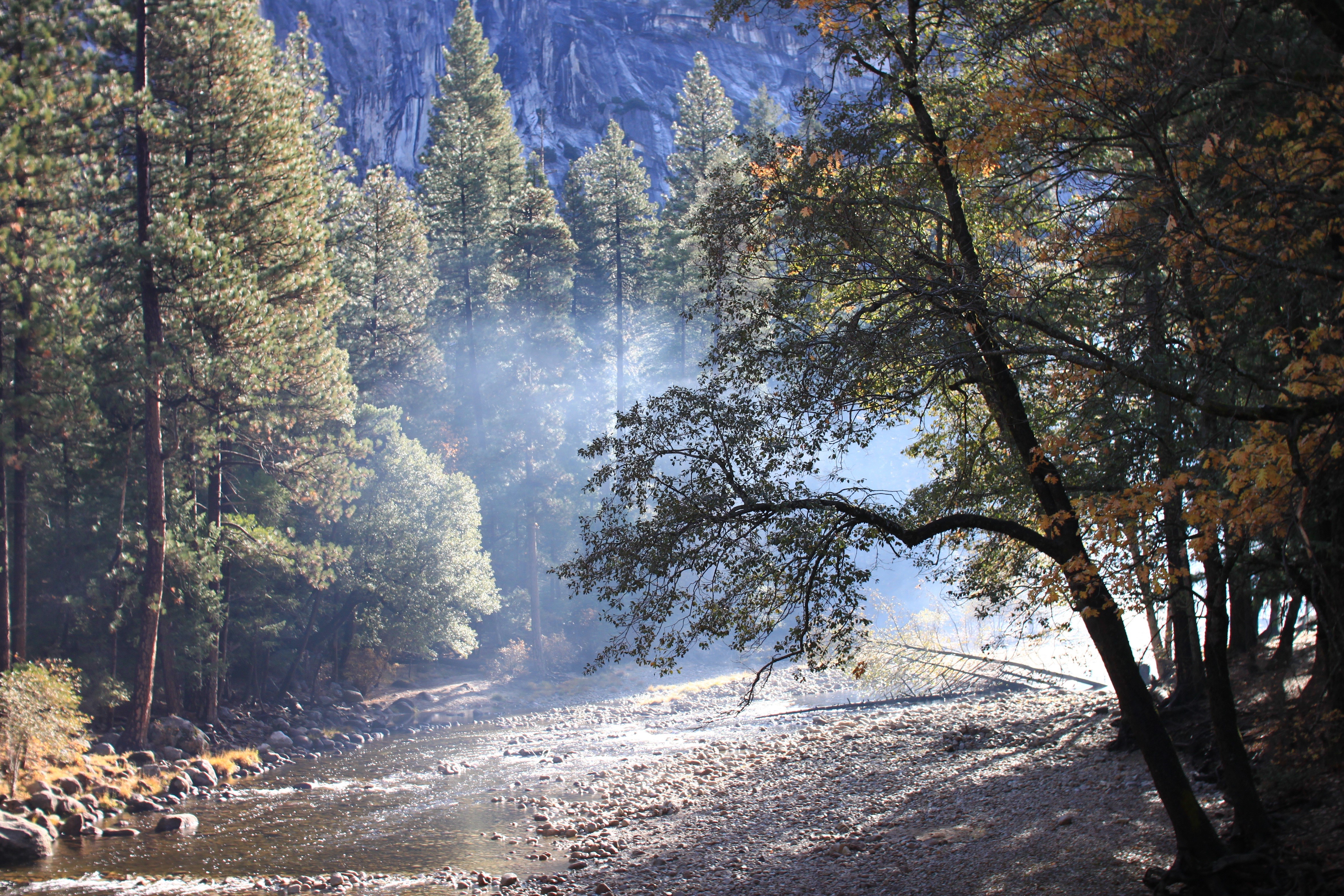 Yosemite National Park in Autumn with River and Fog HD Wallpaper