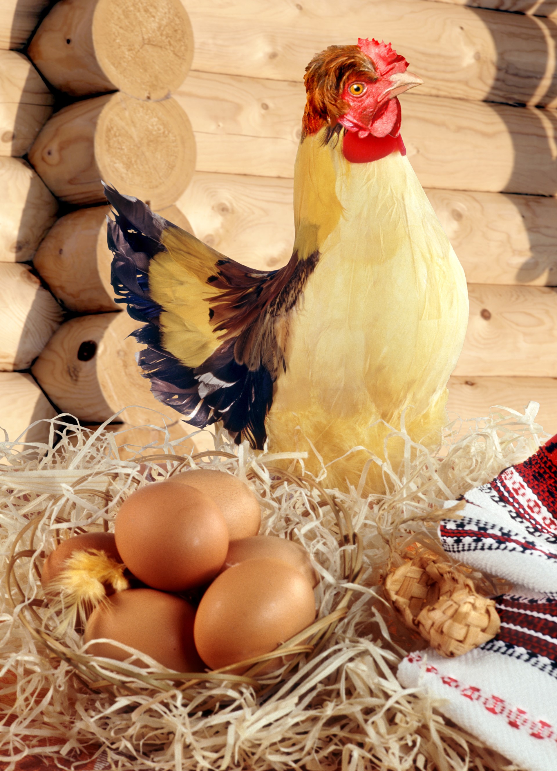 Chicken and eggs in hay with wooden background HD Phone Wallpaper