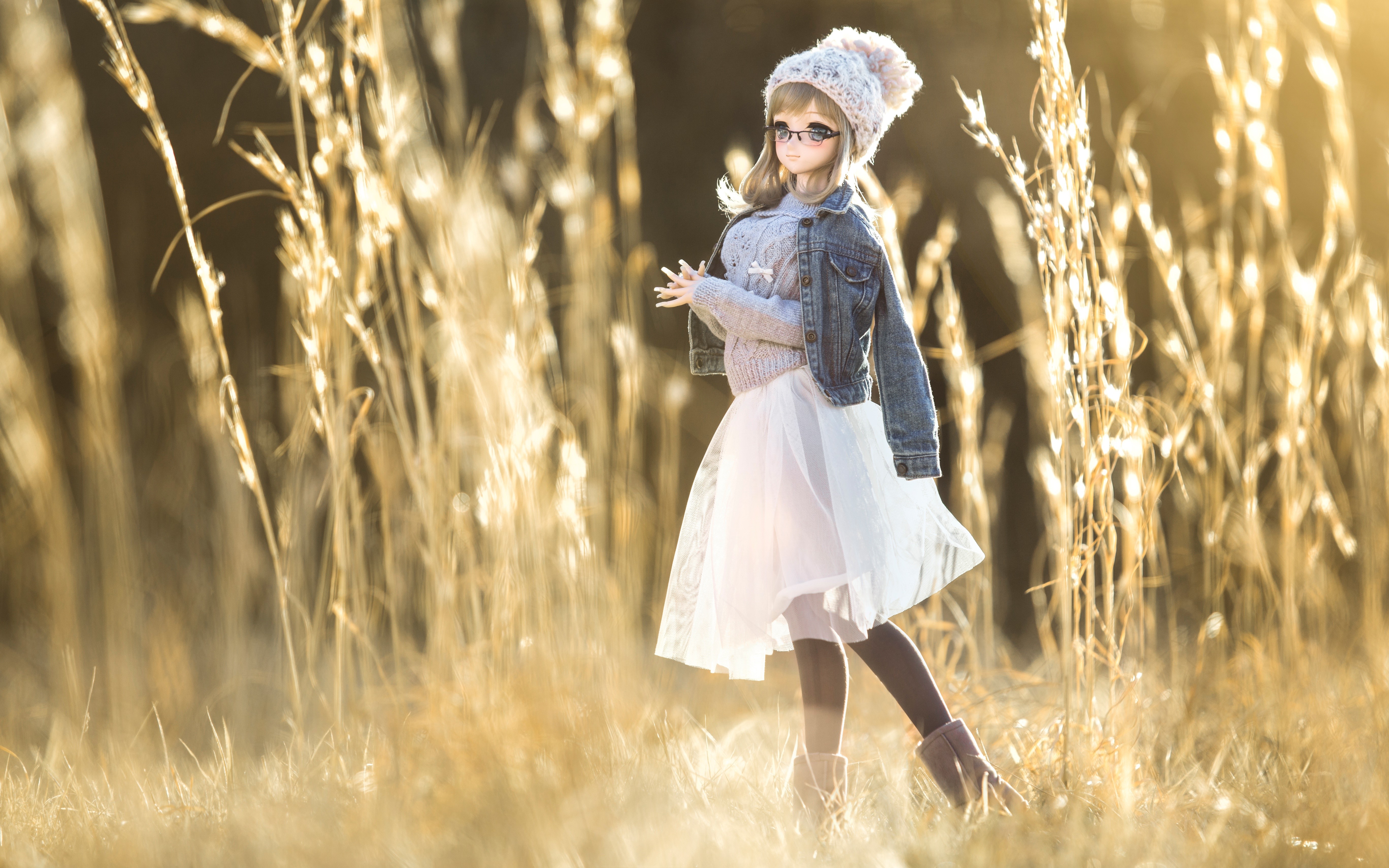 Doll in Winter Hat, Jacket, and Skirt in Field HD Wallpaper